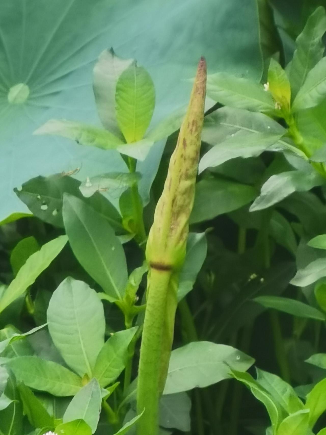 晨练随手拍