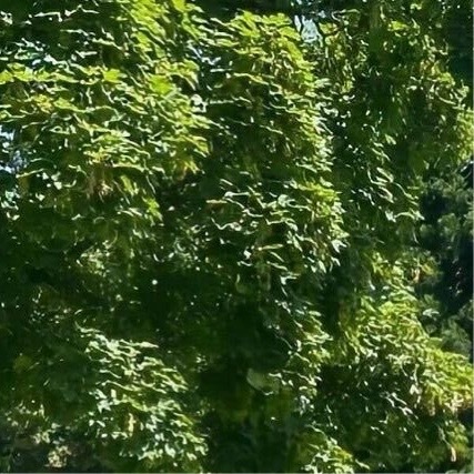 生活手记  一觉醒来又没有你的消息救命白睡 