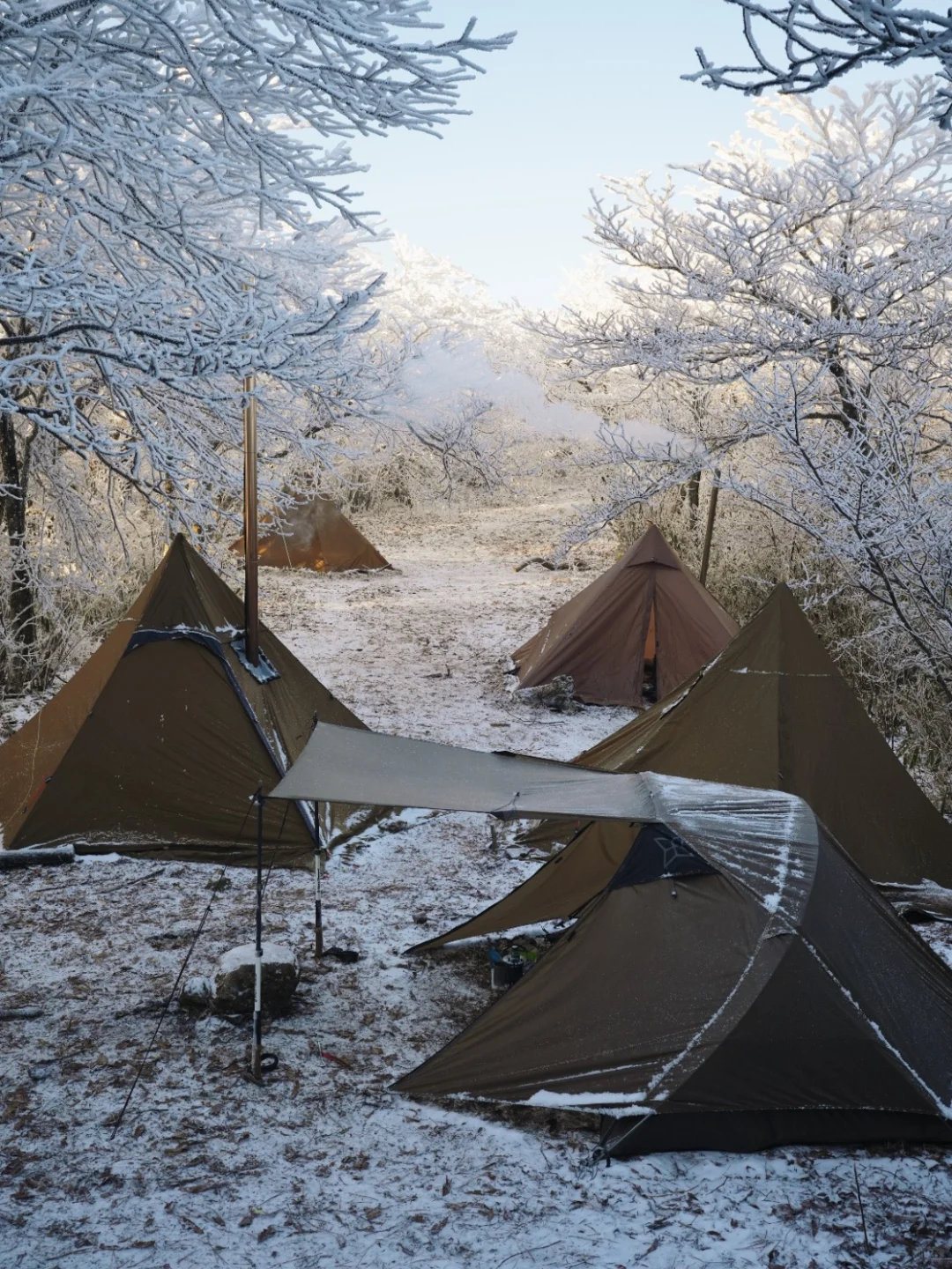 露营龙王山，又是一年雪来到