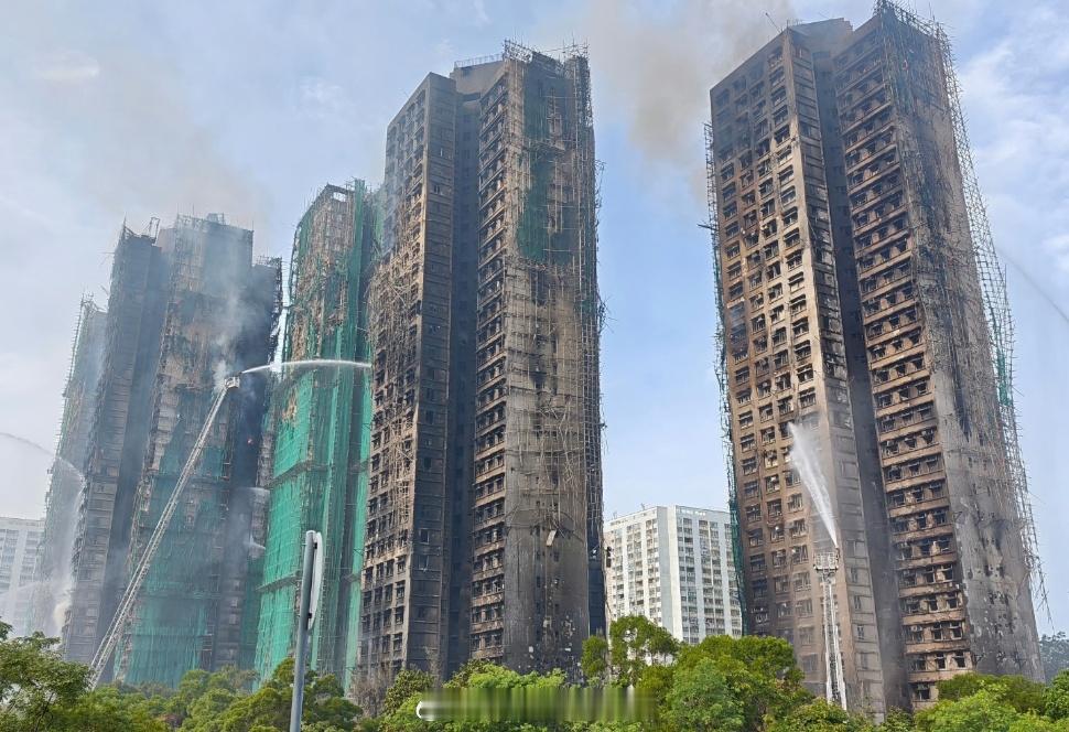 香港大火已致94人遇难目前香港大埔火灾共造成94人遇难已完成灭火程序，将搜索所有