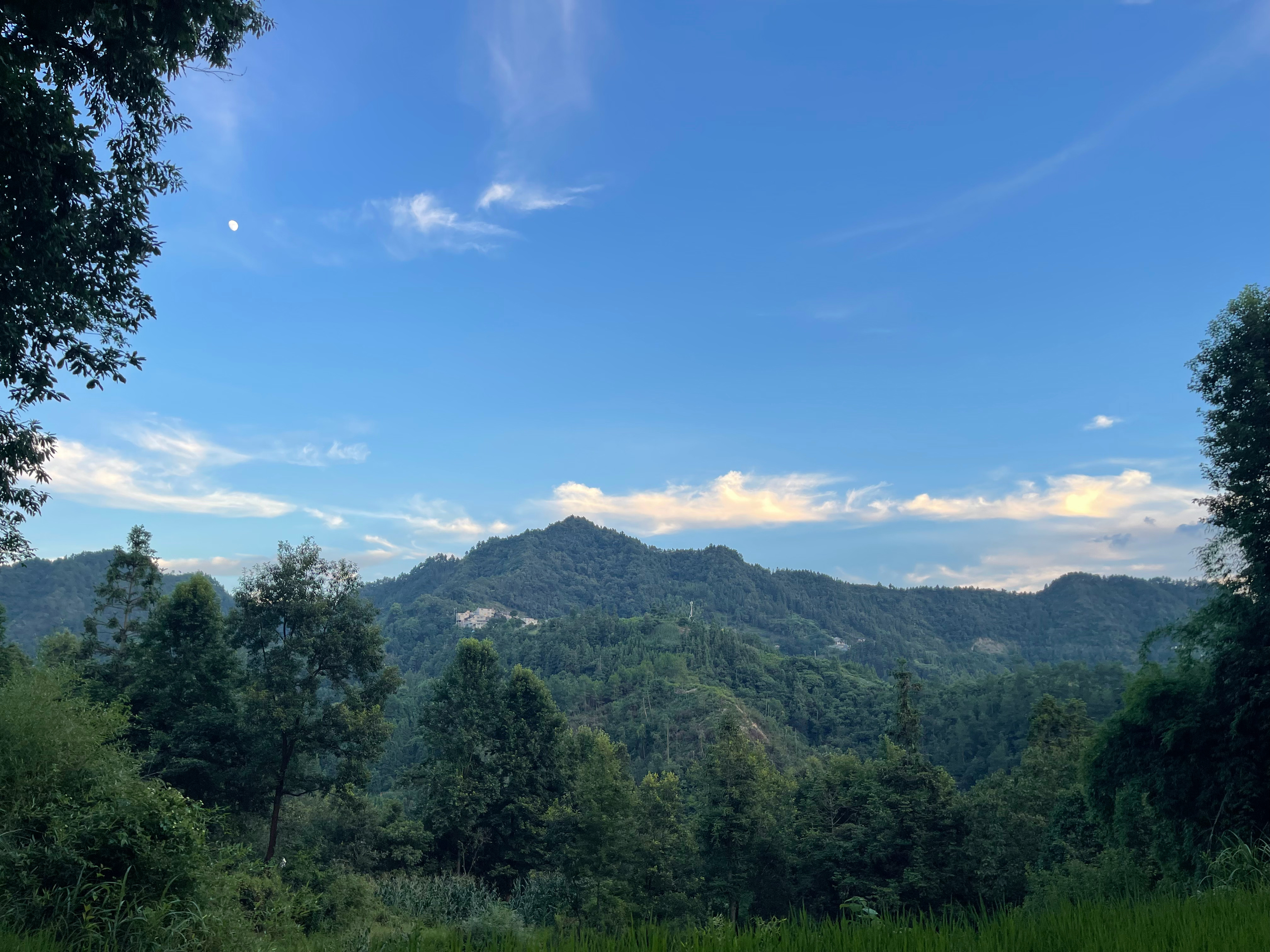 大山深处 