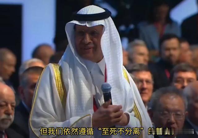 罕见表态！沙特对俄许下专属誓言，中美从未享有，中东格局迎来大变局
 
当下的中东