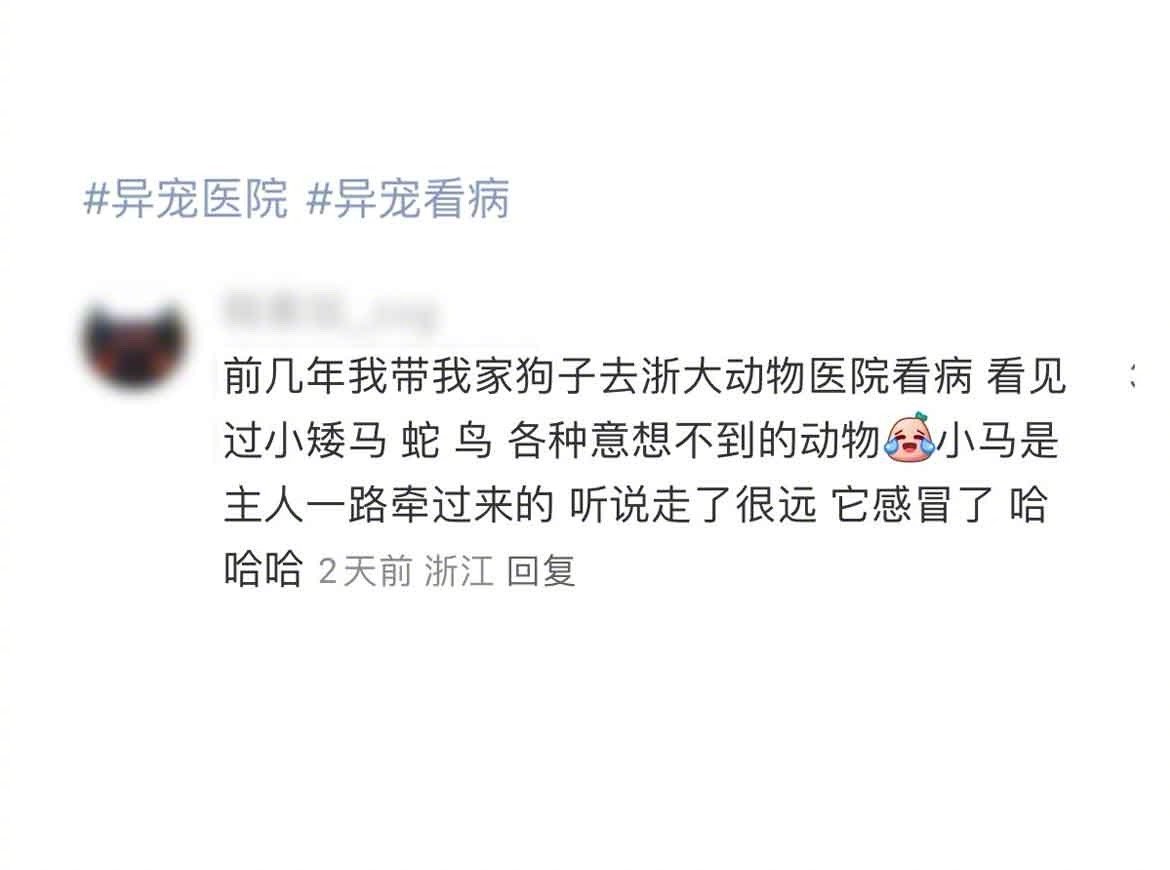 可怜的小马患者，感冒了全身难受没力气，别的宠物生病都是主人抱来的，它生病了还得走