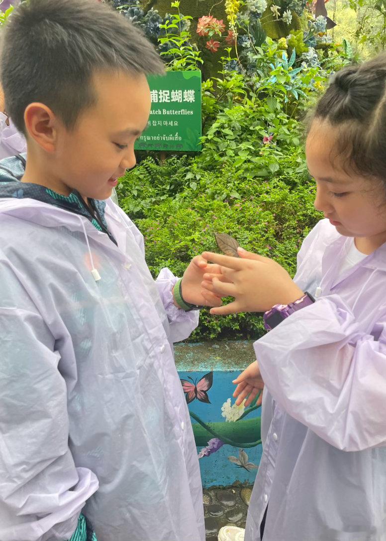 你们快乐所以我们快乐   景洪·野象谷