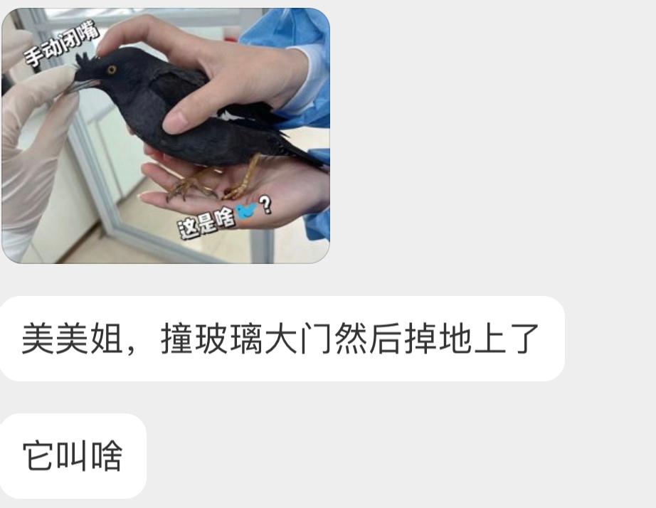 填空题环节～（ ）哥都认识了吧[开学季] ​​​