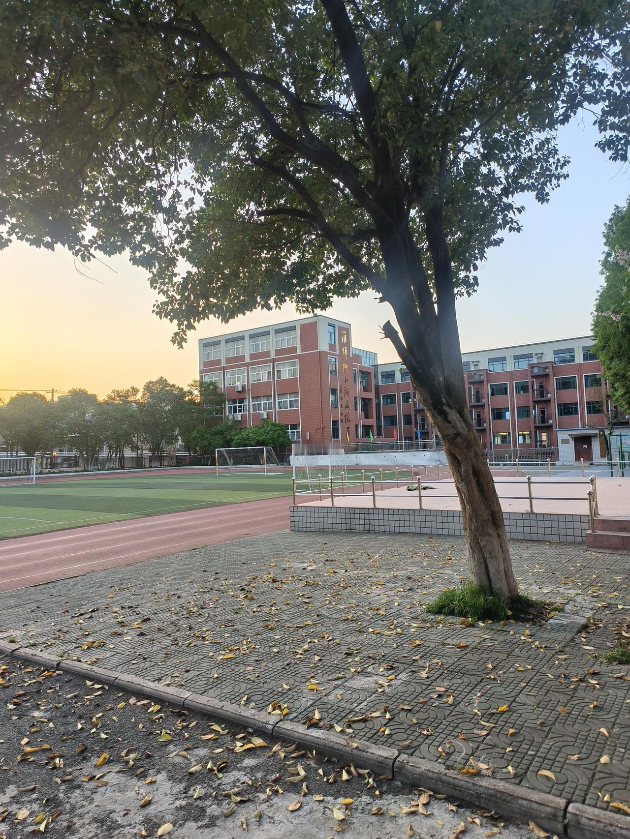 学校，依然是一片最具希望的净土，教育是天下最灿烂的事业，大多数的人都是从学校开启