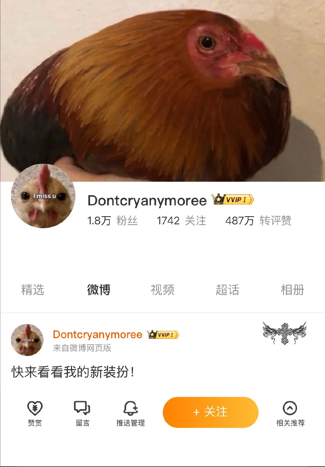 我的新主页咋样