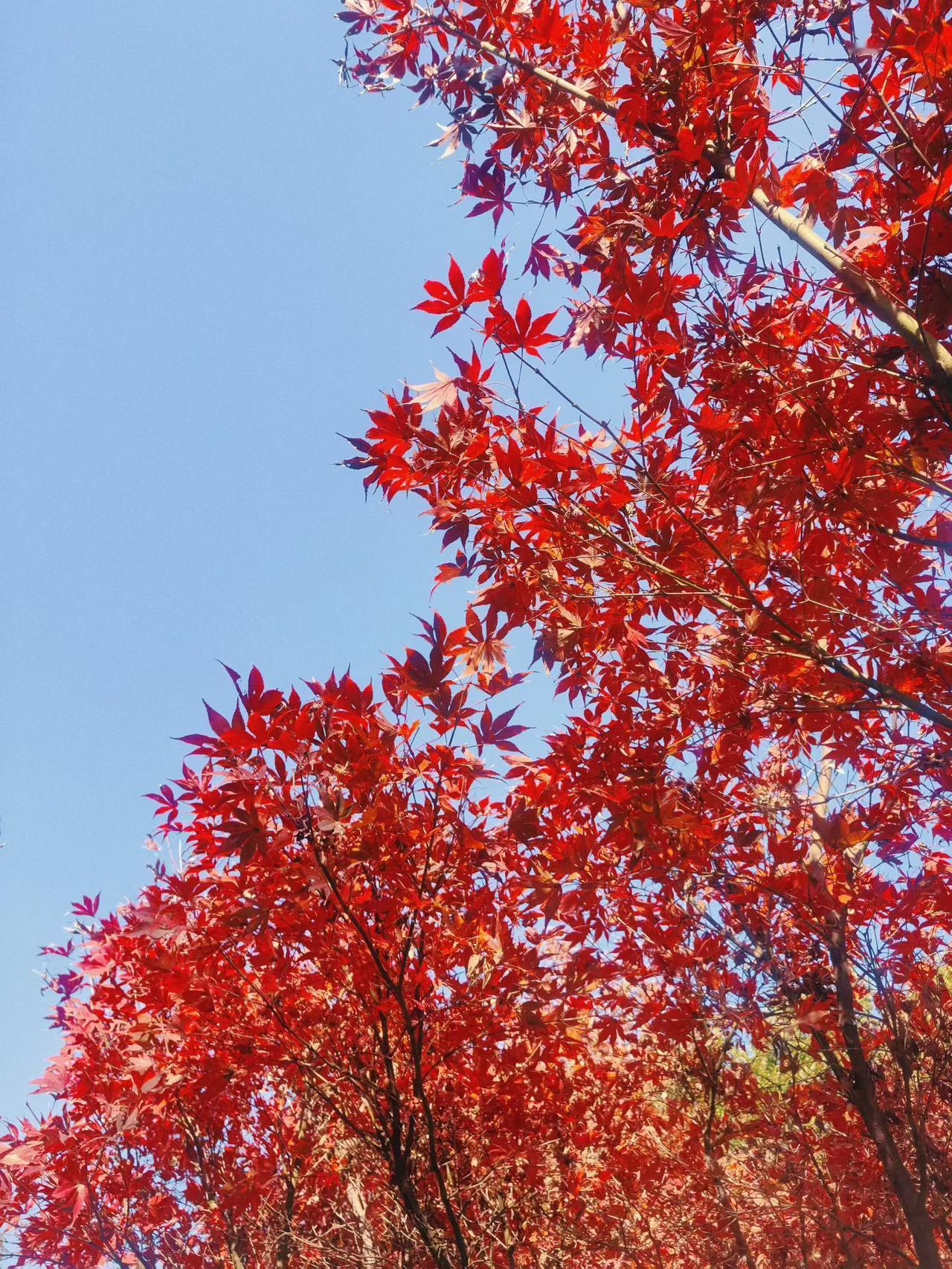 跪服！
现在的人真是太有才了！
不得不服，真是说出了心声


这不是段子，这是一