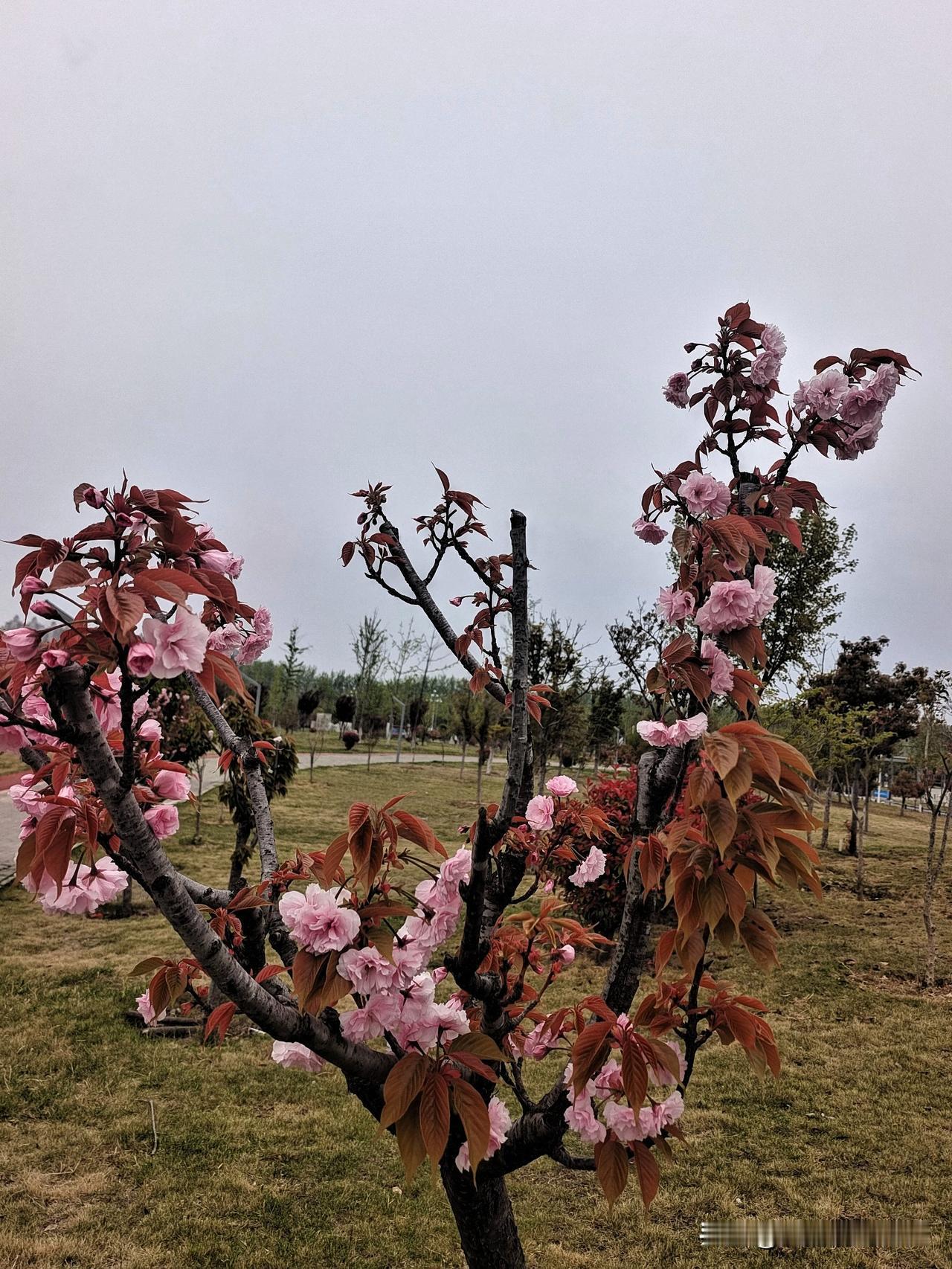 上联：春赏百花齐放
下联：冬盼万物苏醒

终生坚持作品原创的人
图片来源于作者拍