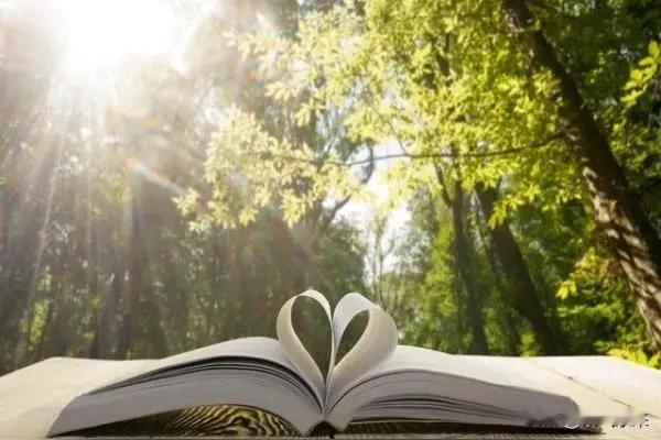 不是我越来越冷漠

是我看清了人情的冷暖

不是我话少

是我知道再多的解释都是