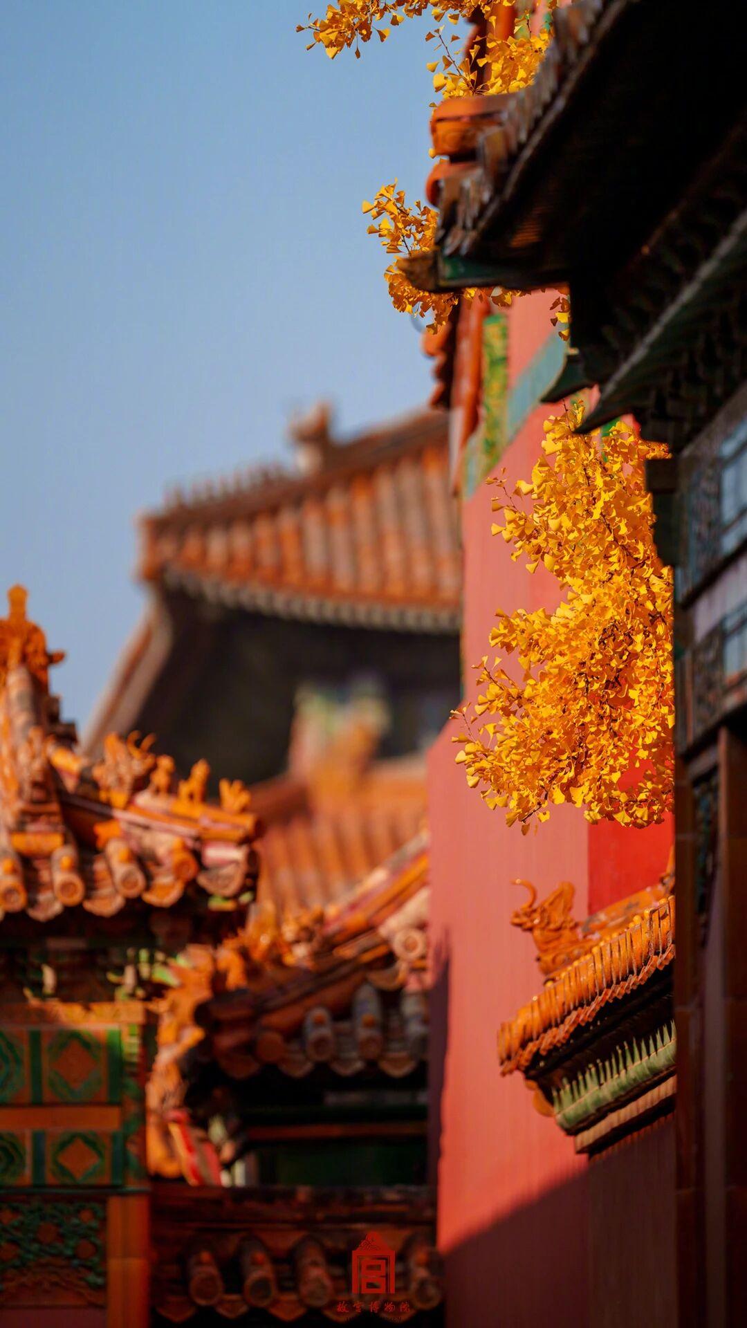 -vmjn3QJb423ORrPUaQ


骨密度检查，两类人群可以不做 | 健