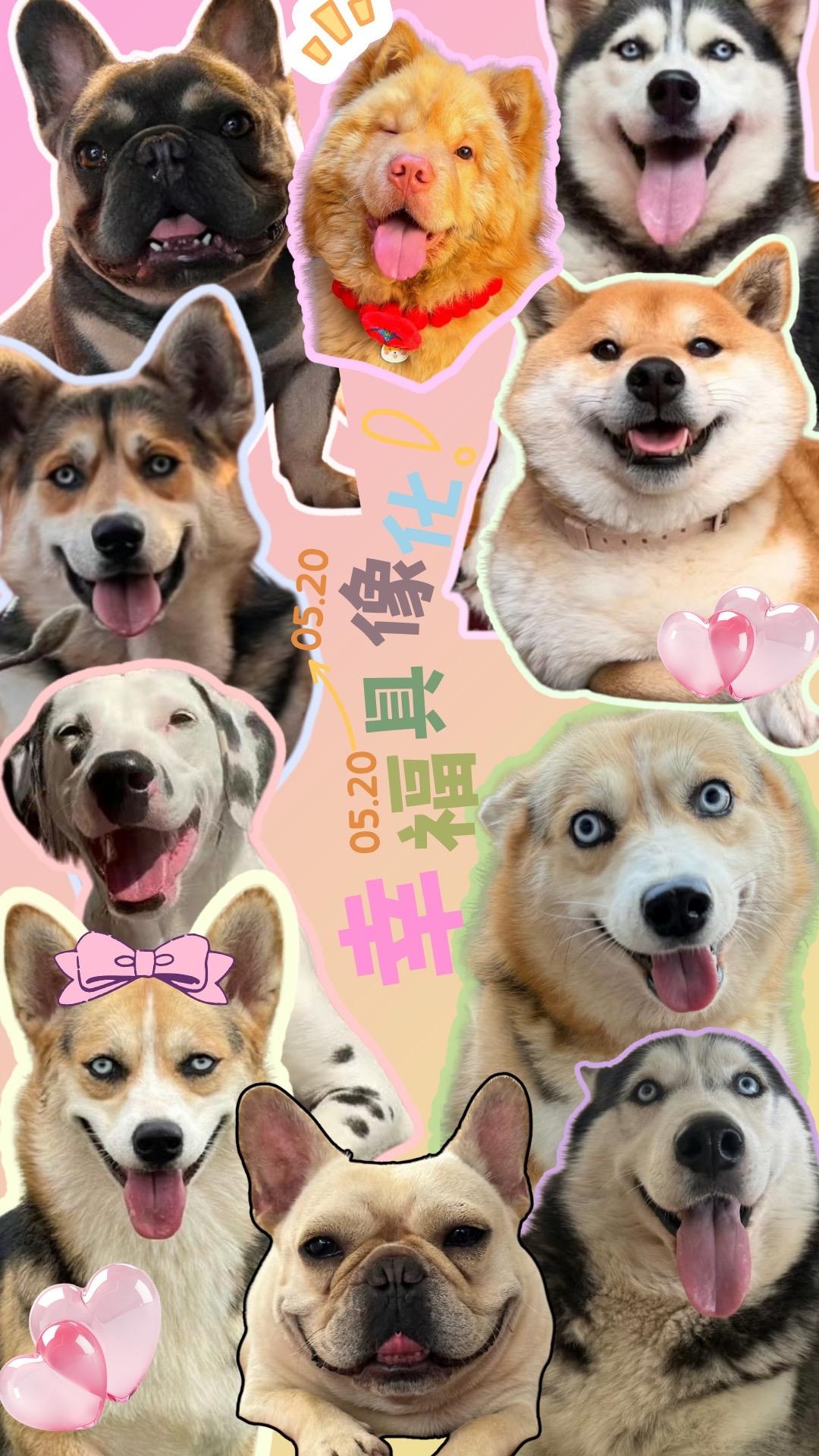 小米最新壁纸来啦！