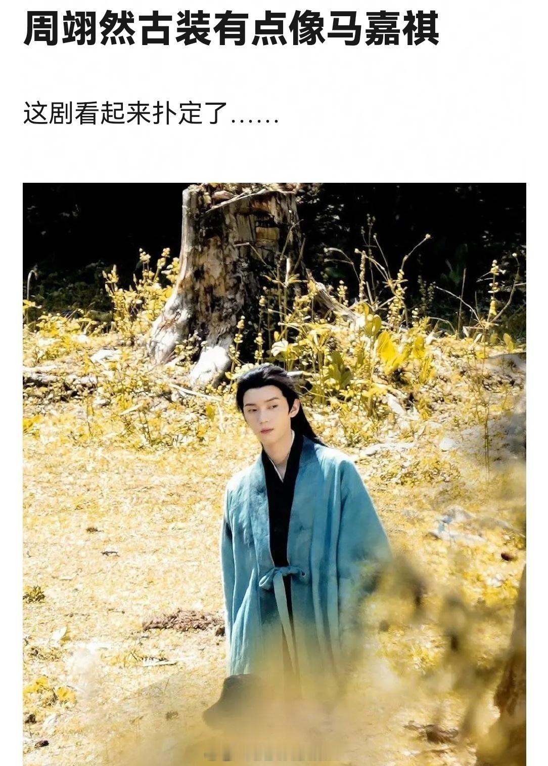 周翊然和马嘉祺的相似度是多少？ 