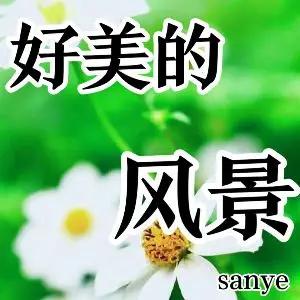这画面太美了，景色宜人摄影大师，