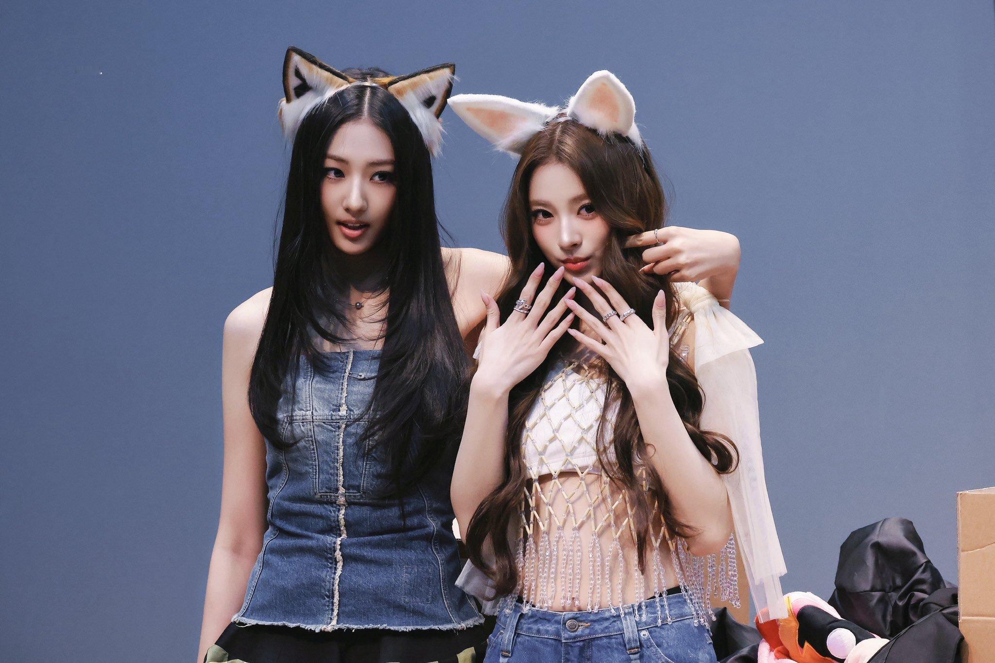 250524 高清饭拍🦊🐱cr.neko_anvv/Gawonbias ​​