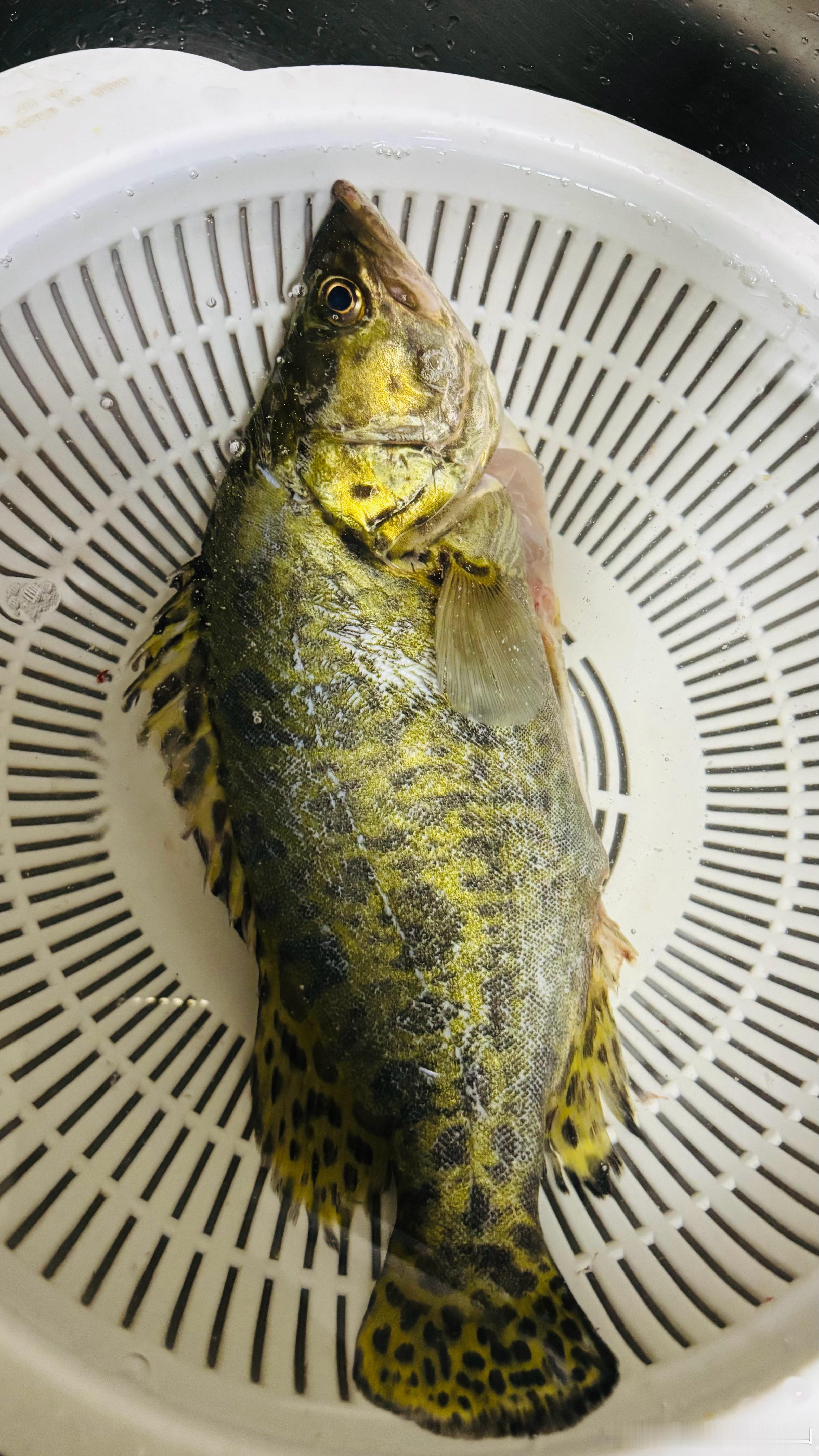 时代紀錄：财富是一种能让你的钱生钱的东西，比如存入银行，你可以躺着收息。当房地产