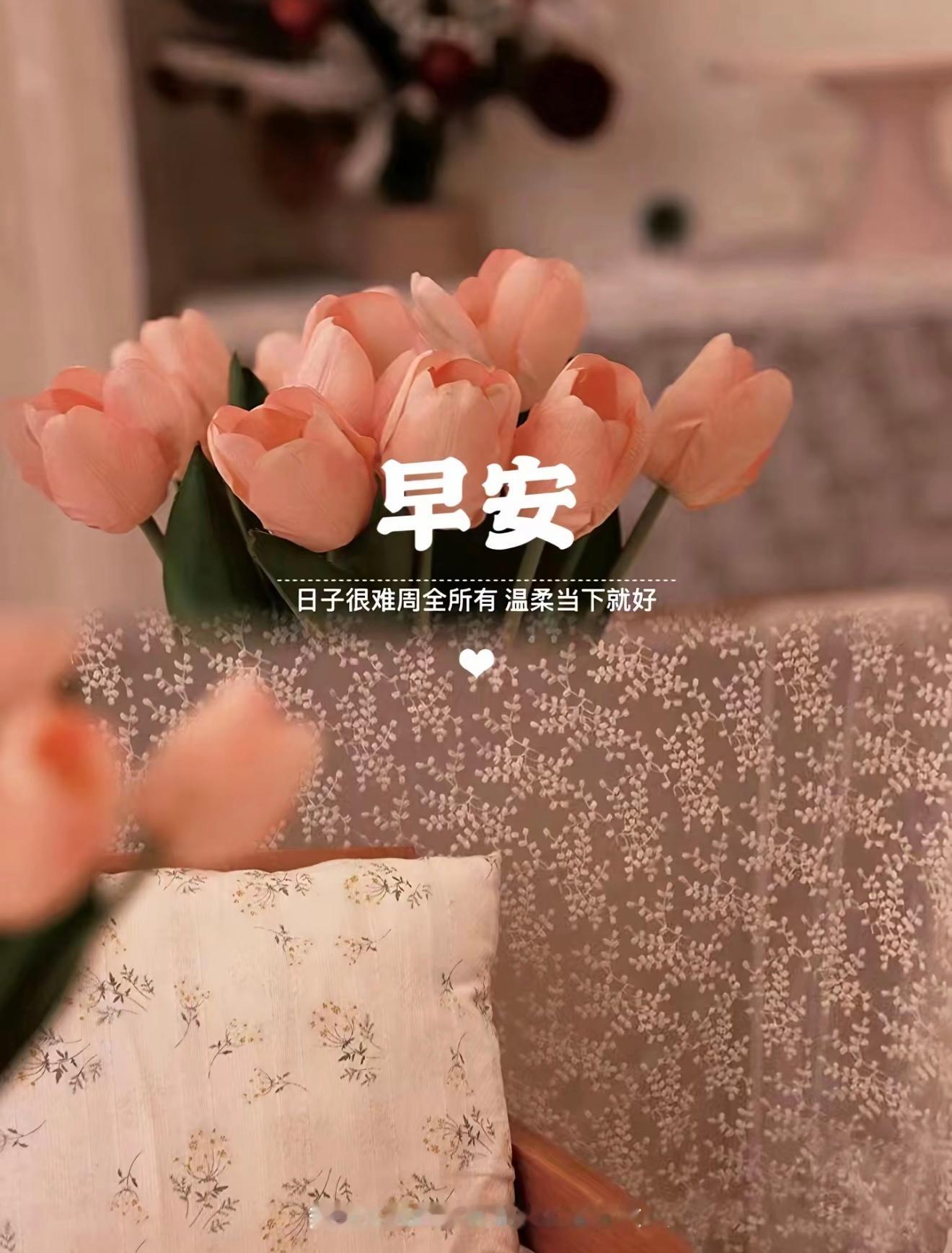早安 清晨的阳光缓缓洒落，温柔地抚平昨夜积攒的疲惫与心绪。新的一天不必逼自己紧绷
