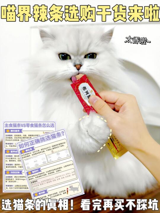 新手养猫必看！主食猫条VS零食猫条~