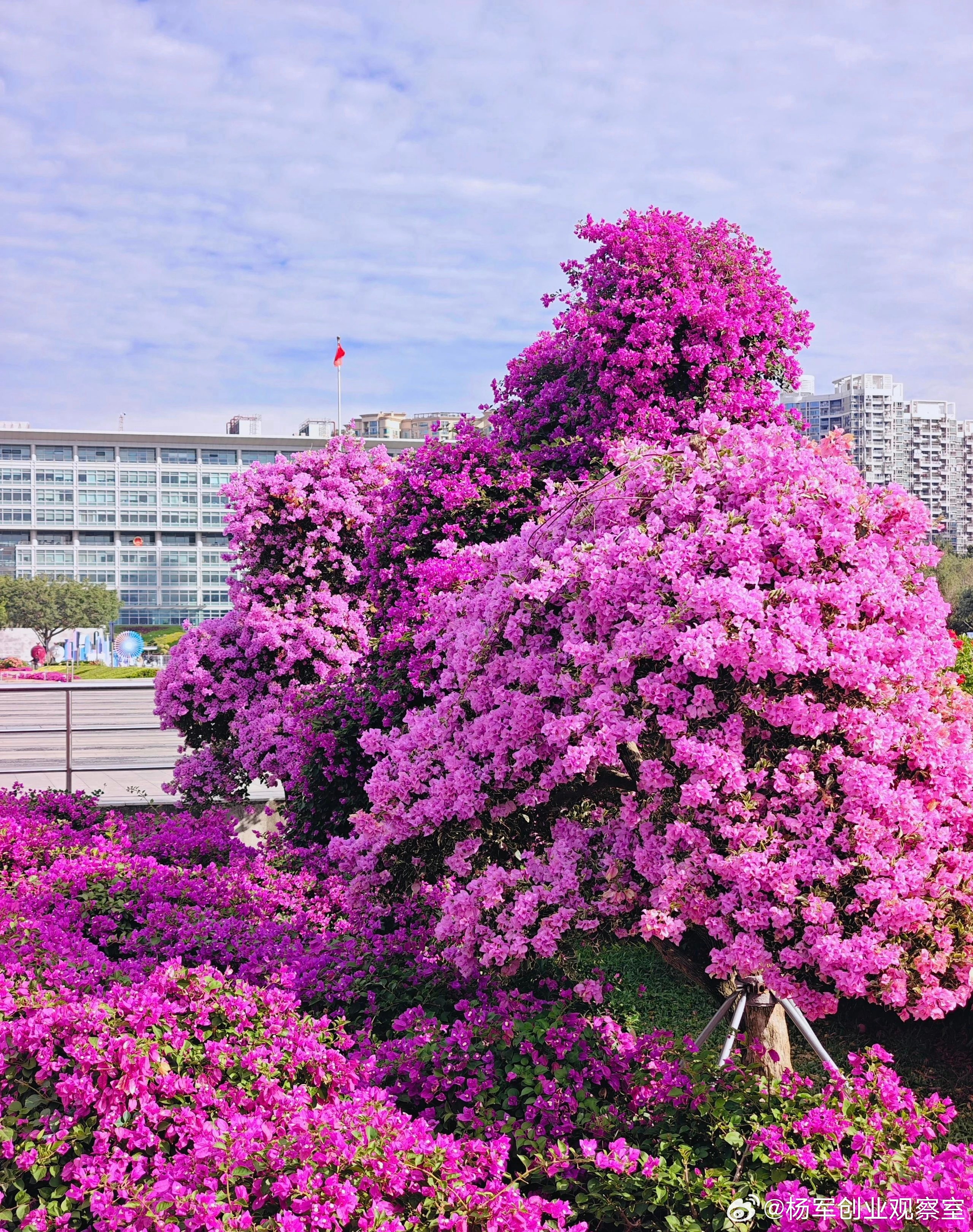 公司赚钱后，小股东不出力了，怎么办？问题的核心在于：股权是静态的，但贡献是动态的