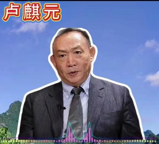 卢麒元说：有人喜欢"卖资产"，却不敢明目张胆地"卖资产"，只好打着"高水平开放"