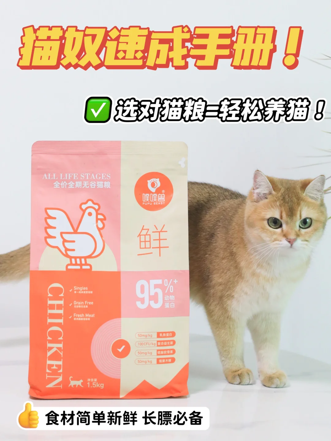 猫奴速成手册！不容错过的挑粮秘籍~