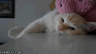 来大姨妈那几天，女生的心情大概就是这样的 ​​​