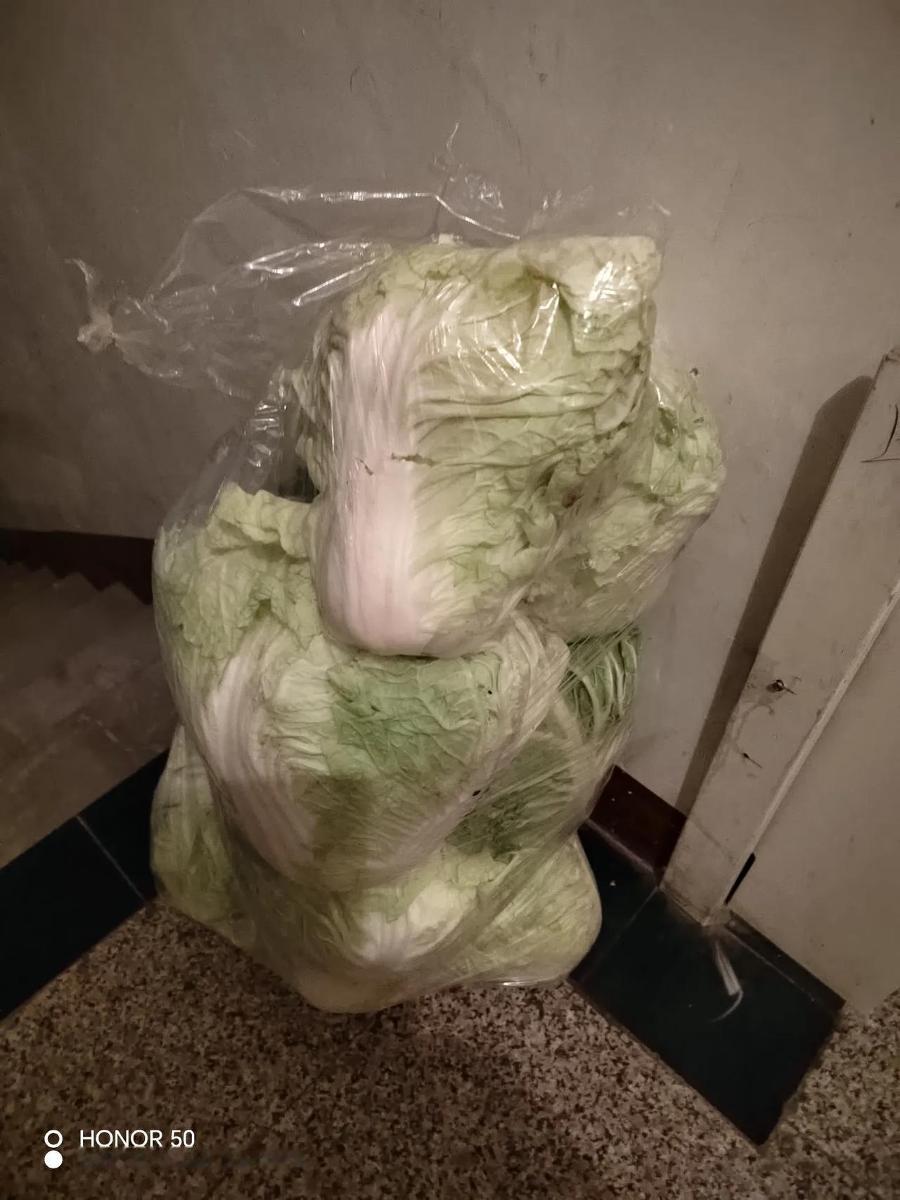 前几日逛市场，花 13 元买了一包大白菜，细数有十几颗，算下来单颗也就 1 元上