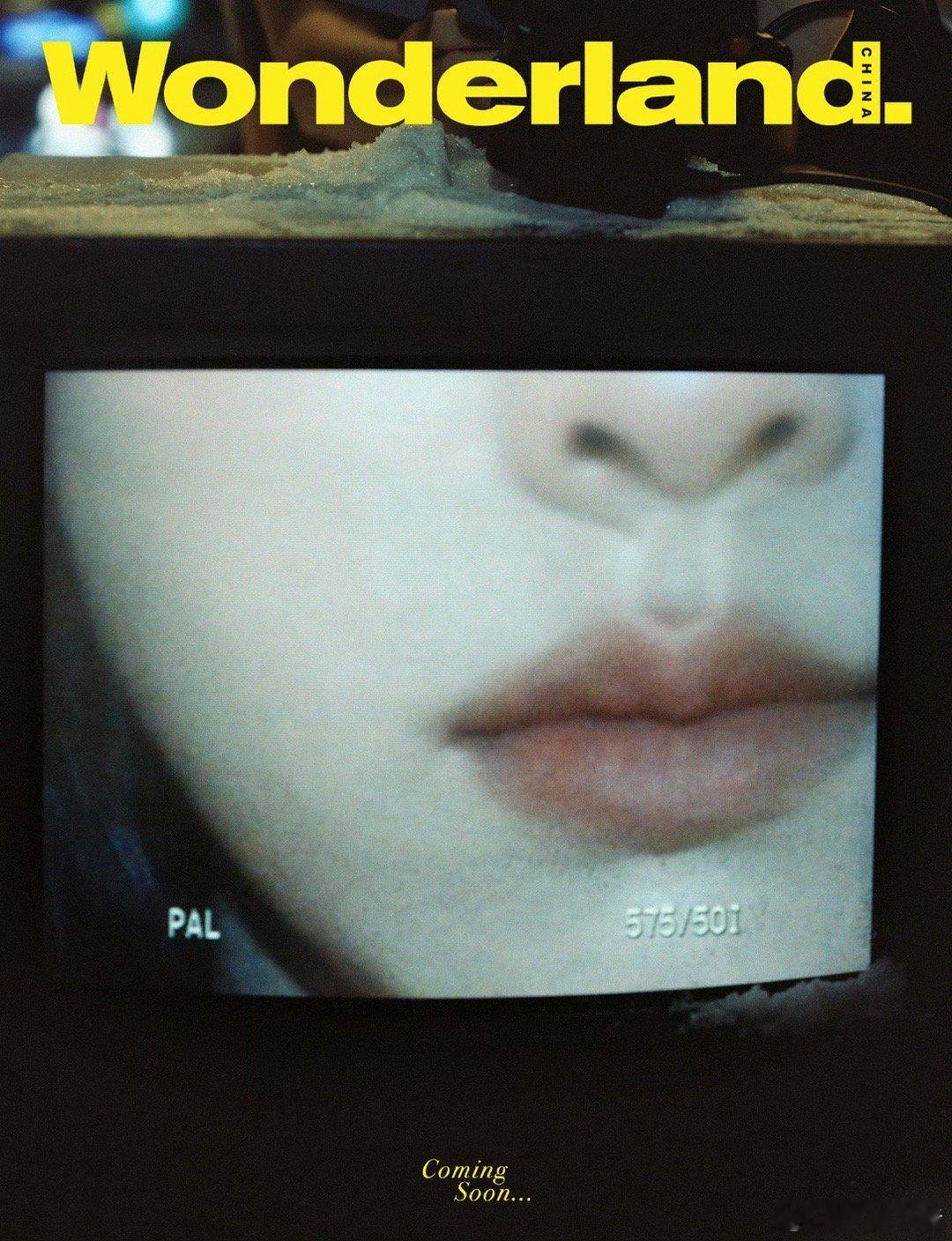 陈都灵Wonderland封面预告！性感嘟嘟🤤 