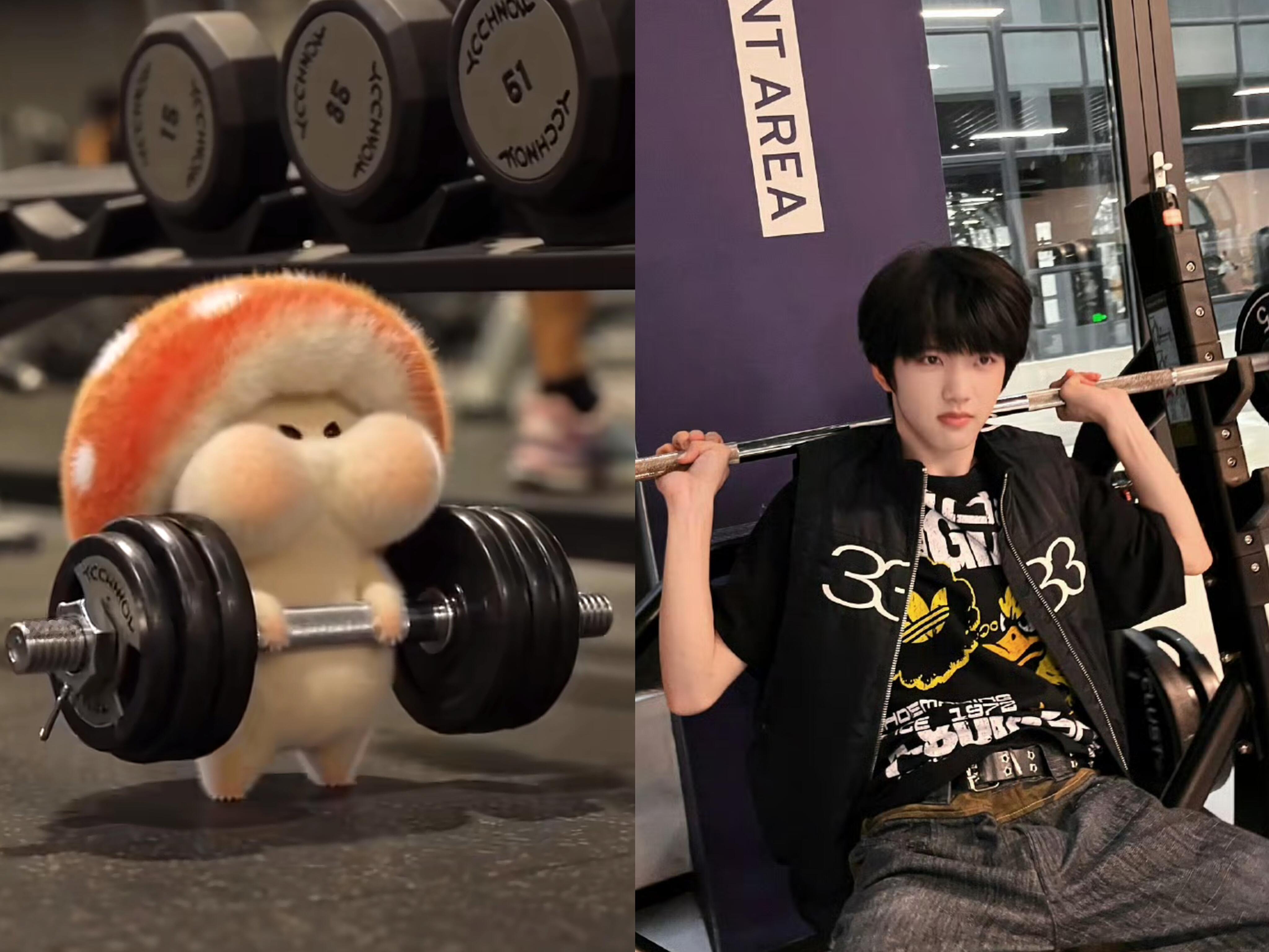 刷到一个小蘑菇以为是瑞丝ai的小瑞子呢一毛一样给我萌晕了其实人家是一个单独的id