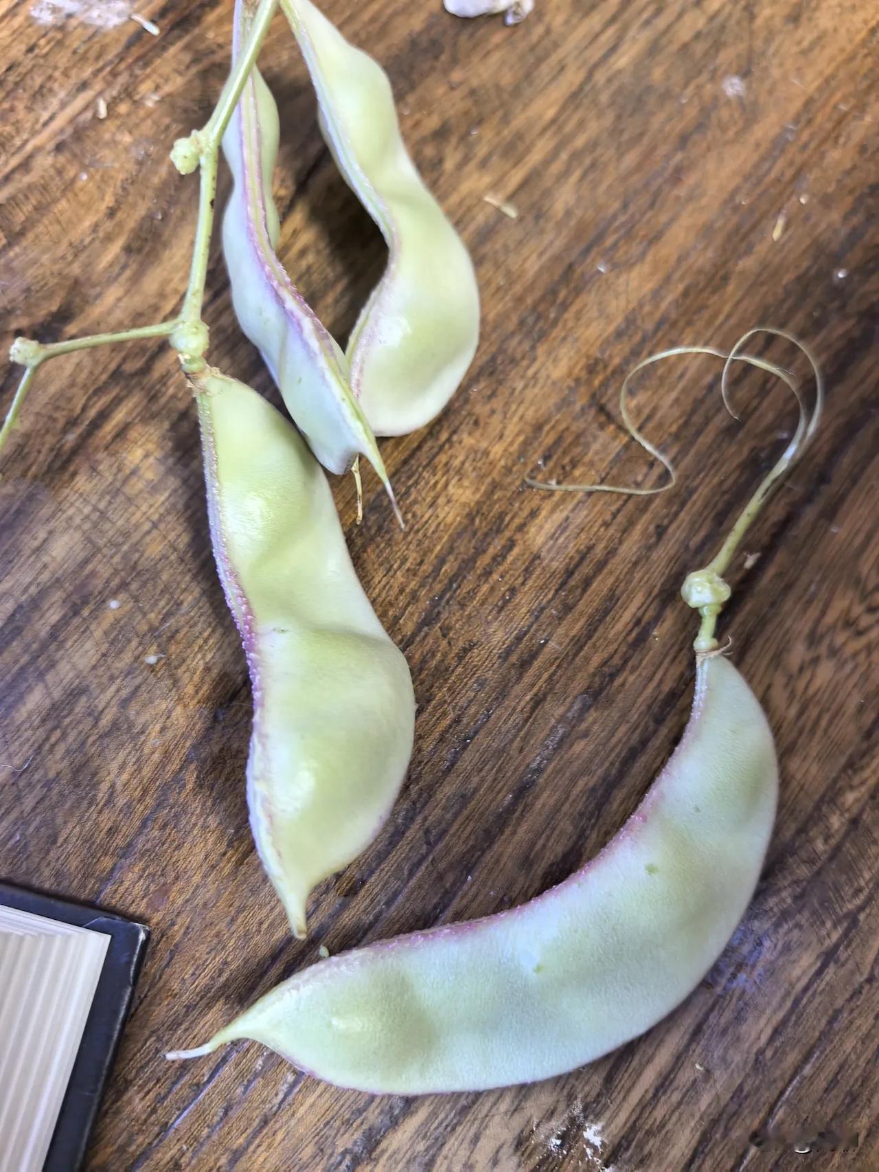 说实话，我真不知道这是什么豆，但我老公种了，他说跟豆角一样抄熟就行，我就这样吃了