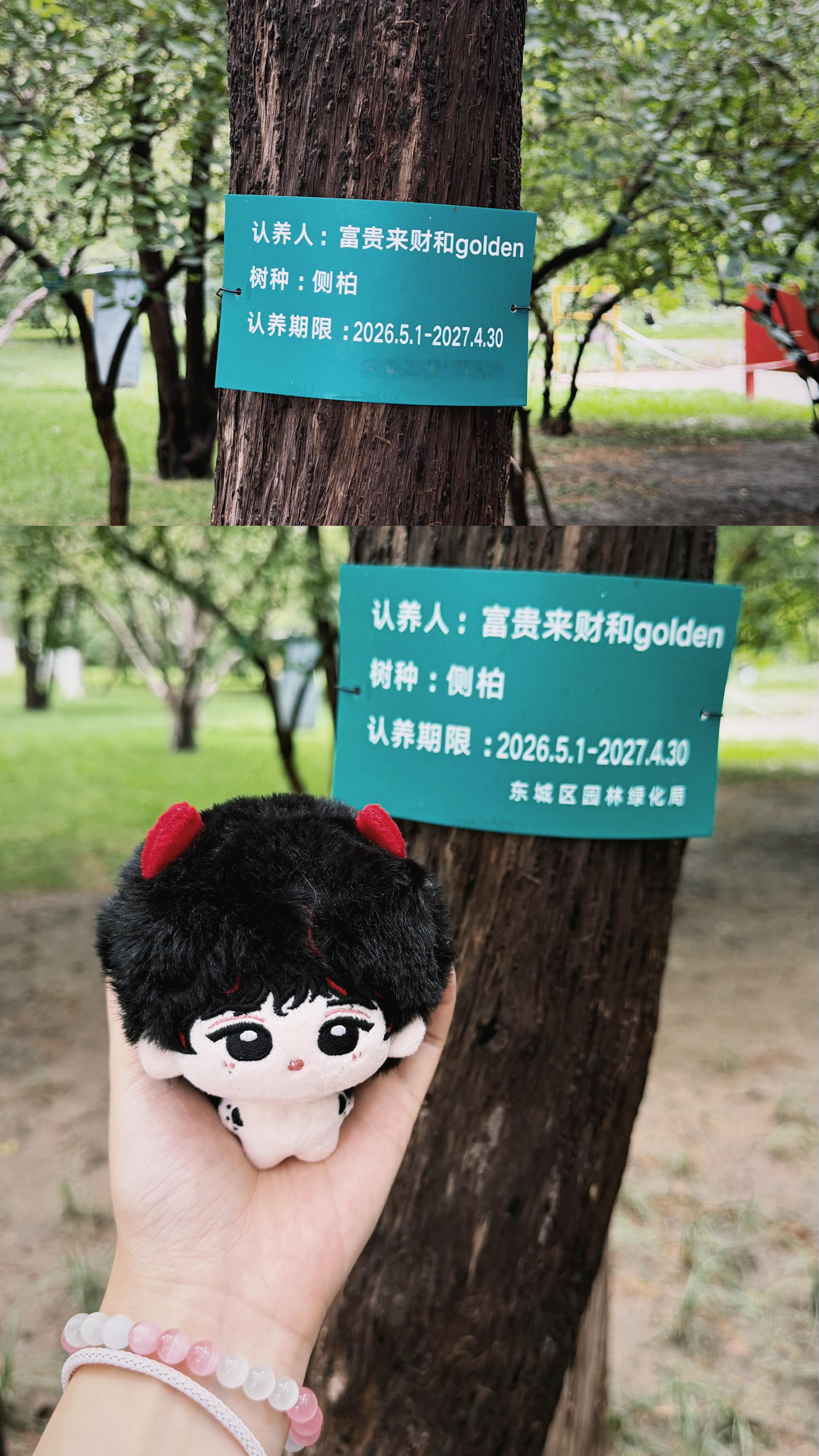 丁丁严严💞 