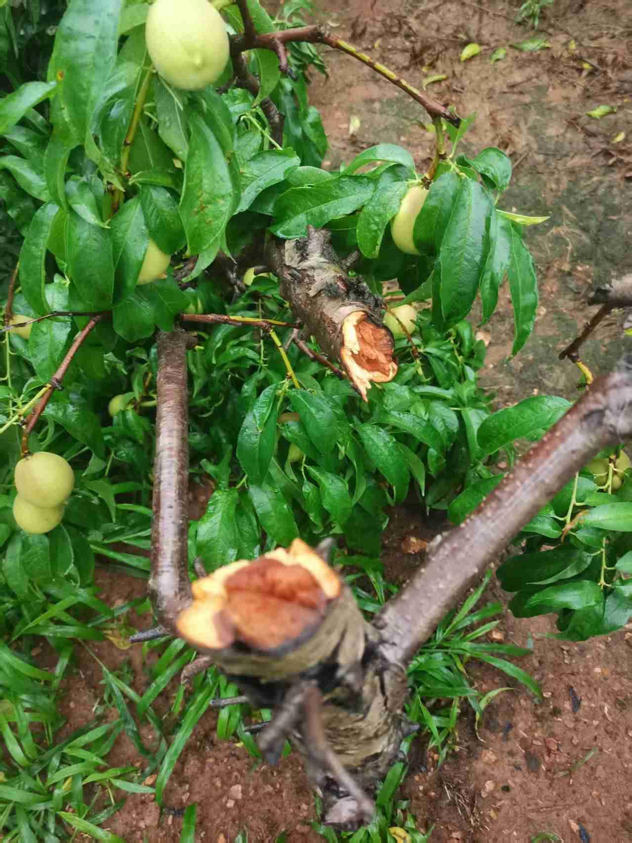 我的今日状态：😭伤心难过
我这里的天气：🌈雨过天晴