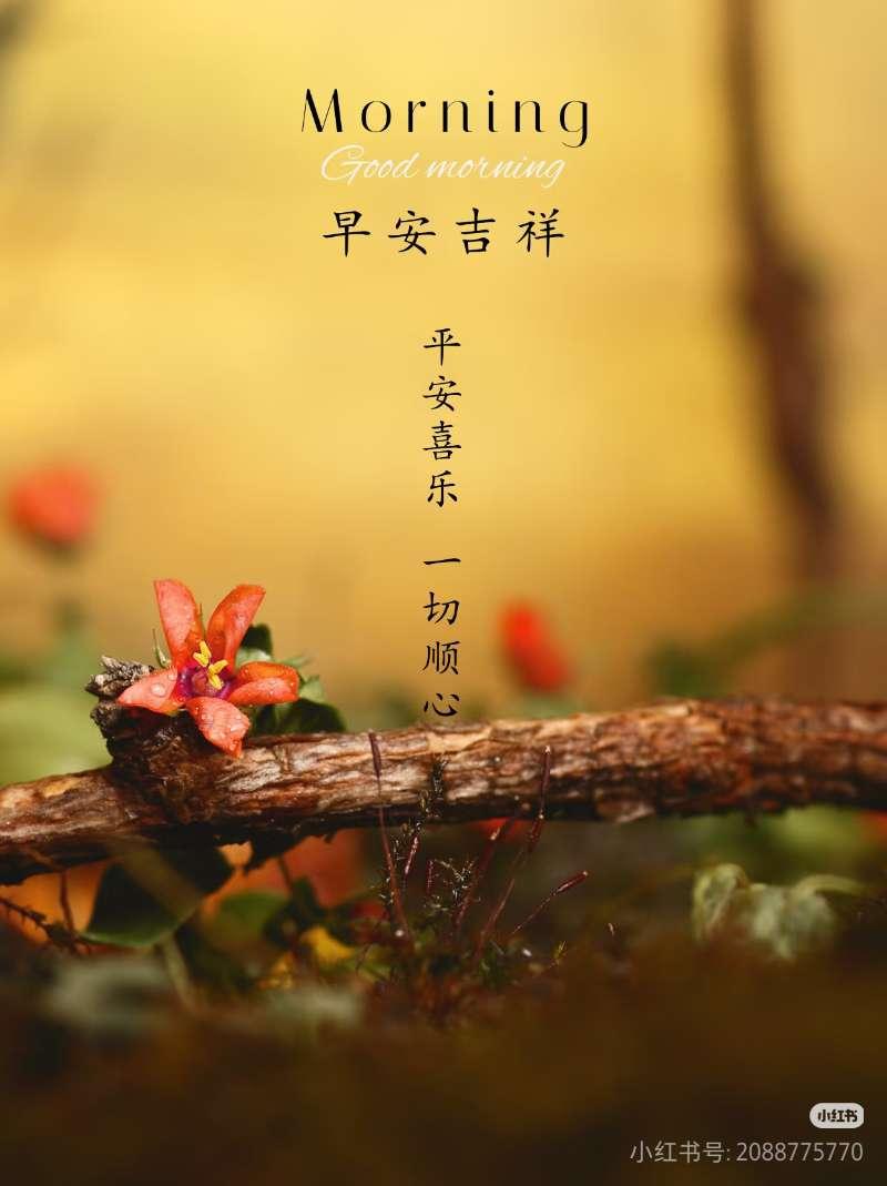 天地有愛人間有情。
快樂常在幸福滿載，
健康常駐好運常來，
相互牽掛快樂同行。