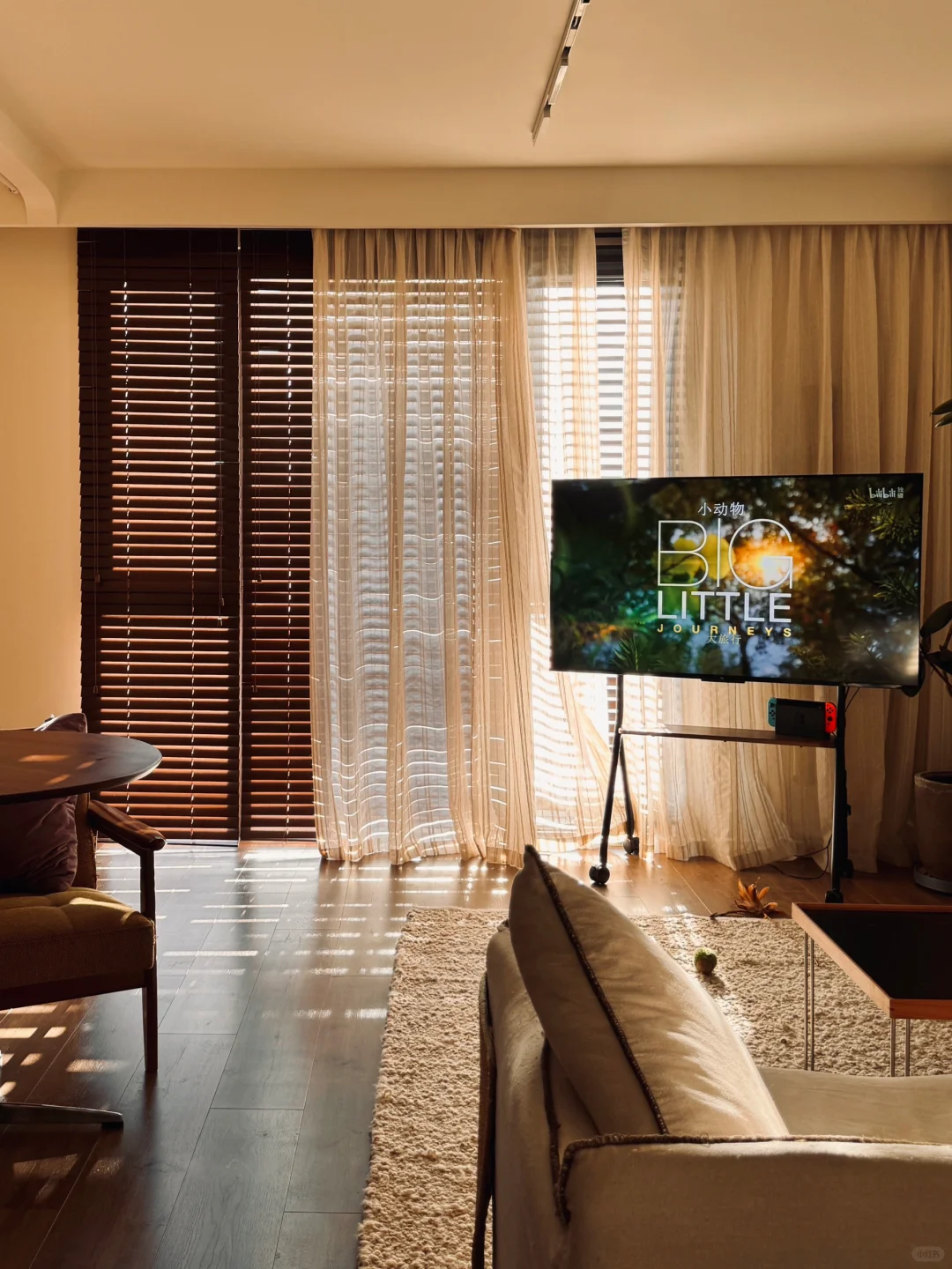 56平一人居｜注定无法按照规则进行的人生