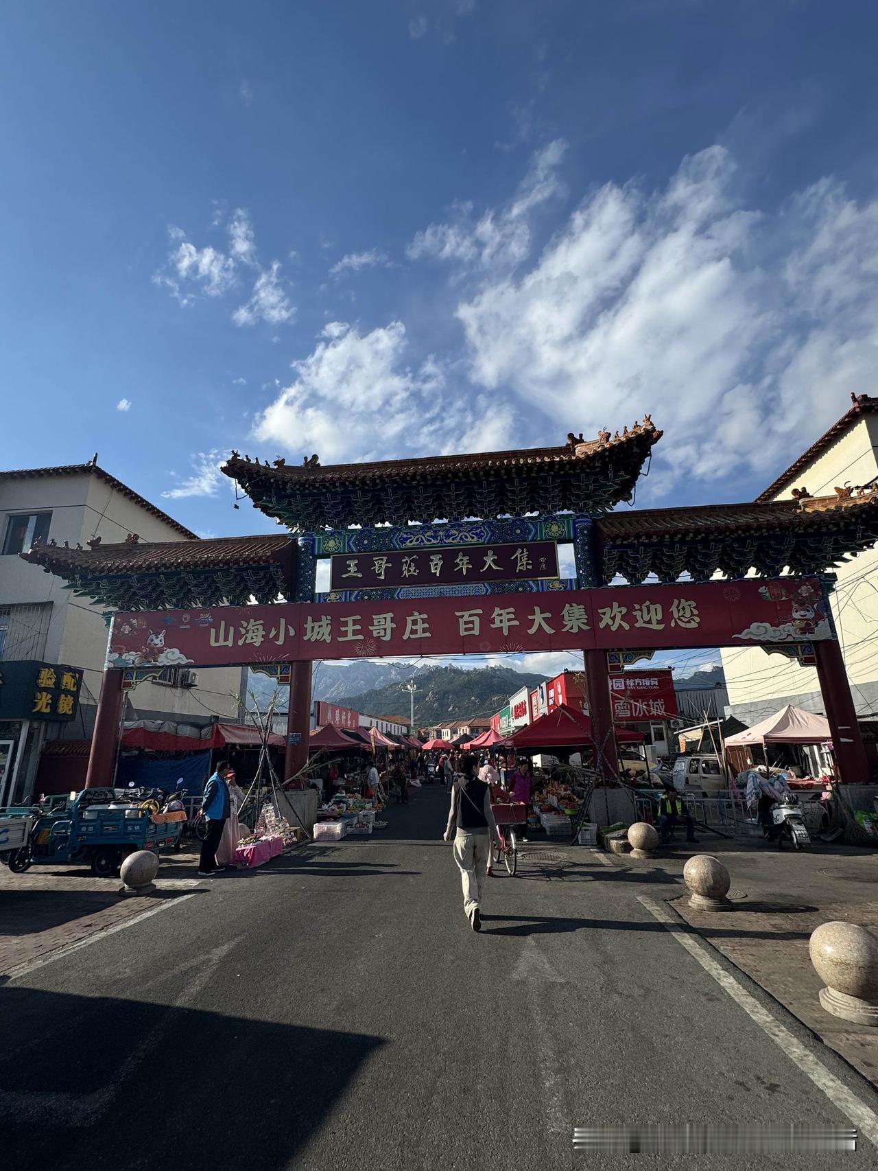 上午赶大集，发现杀鸡摊前的笼子里关着一只乌鸡，一副垂头丧气的样子。

驻足看了一