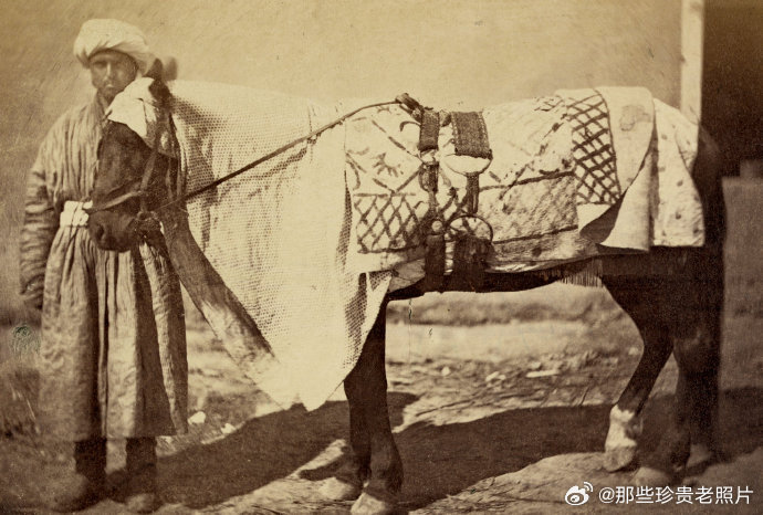 1870年的撒马尔罕 