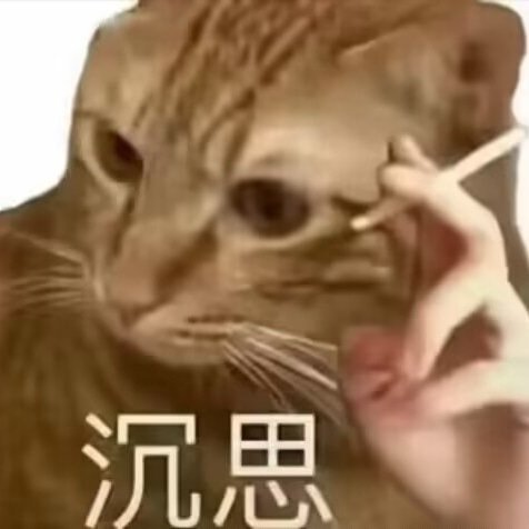 已被kpk溜麻，这抠门公司一点猫毛都不给我，心平气和心平气和…… ​​​