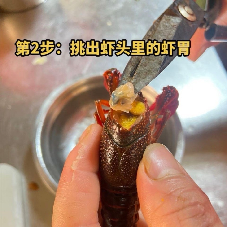 自助洗车洗小龙虾高压水枪喷小龙虾，清洗应该很轻松吧[吃瓜瓜]感觉可以试试，我家附