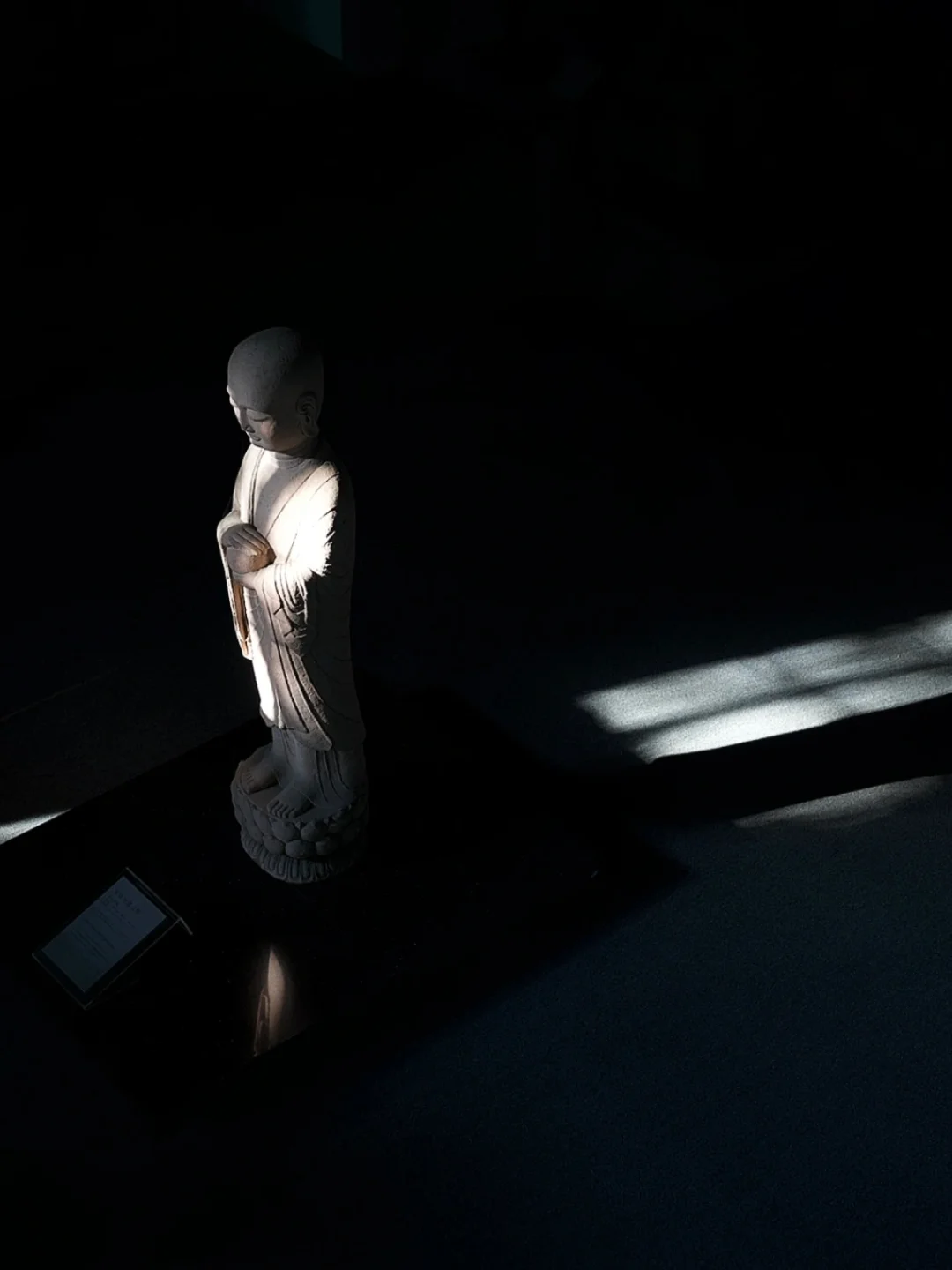 逐日追光☀️尼康直出下的成都📸