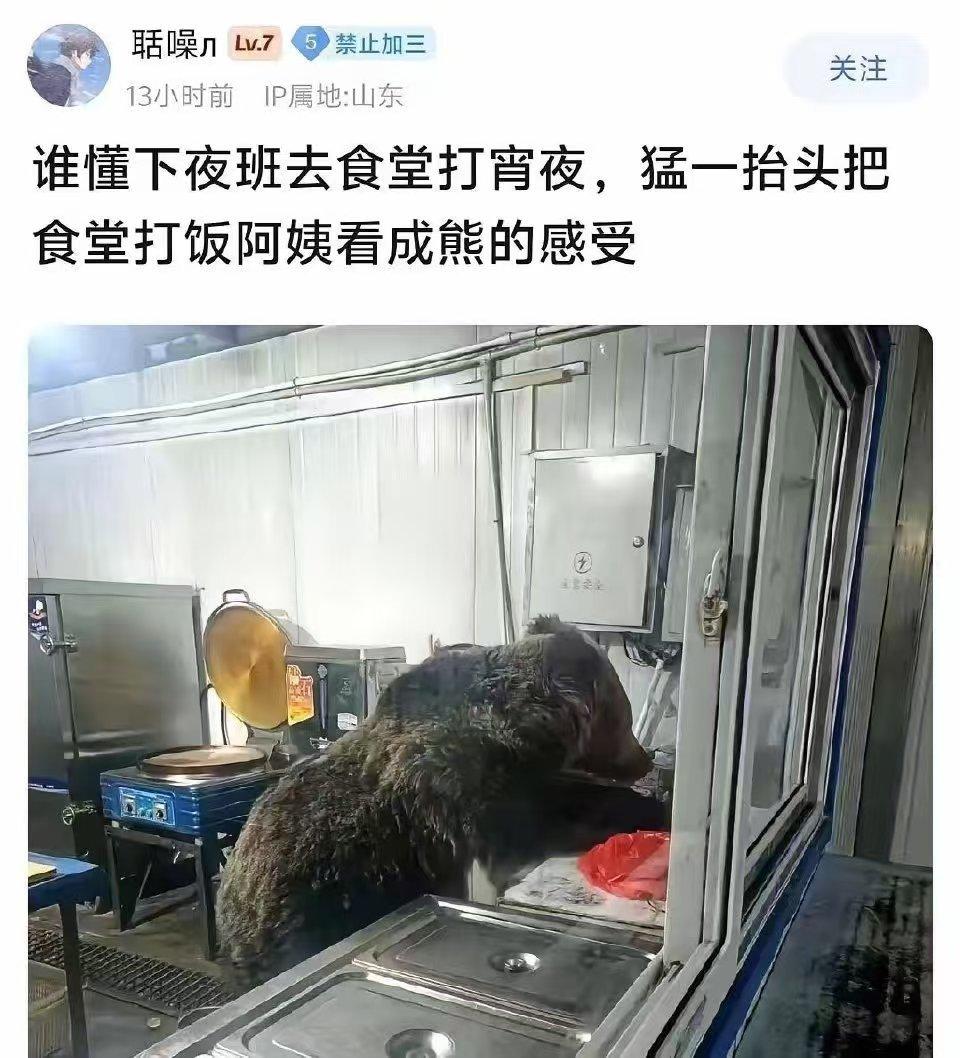 可我还是觉得这就是一头熊…… 