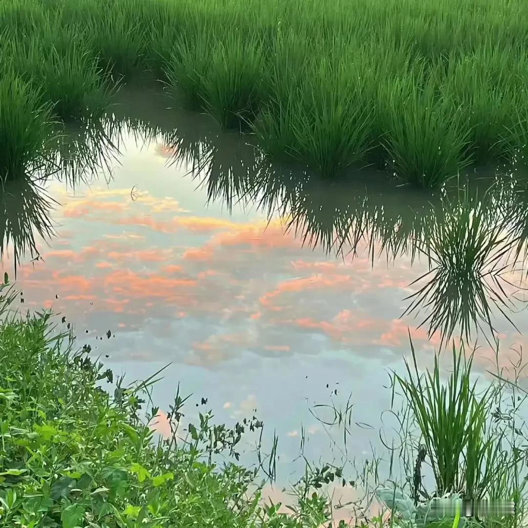 去年刚生完孩子，身体本就虚弱得不行，婆婆倒是来照顾我坐月子了，可是她总是按照她那