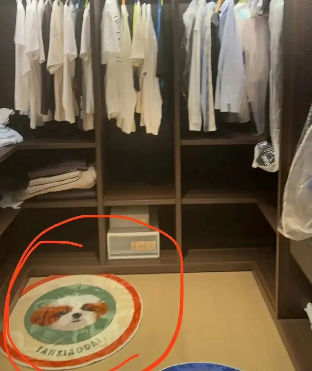 新浪娱乐刘一诺礼物是妈妈送的如果世界上有后悔药，第一个去抢的一定是演员刘一诺，本