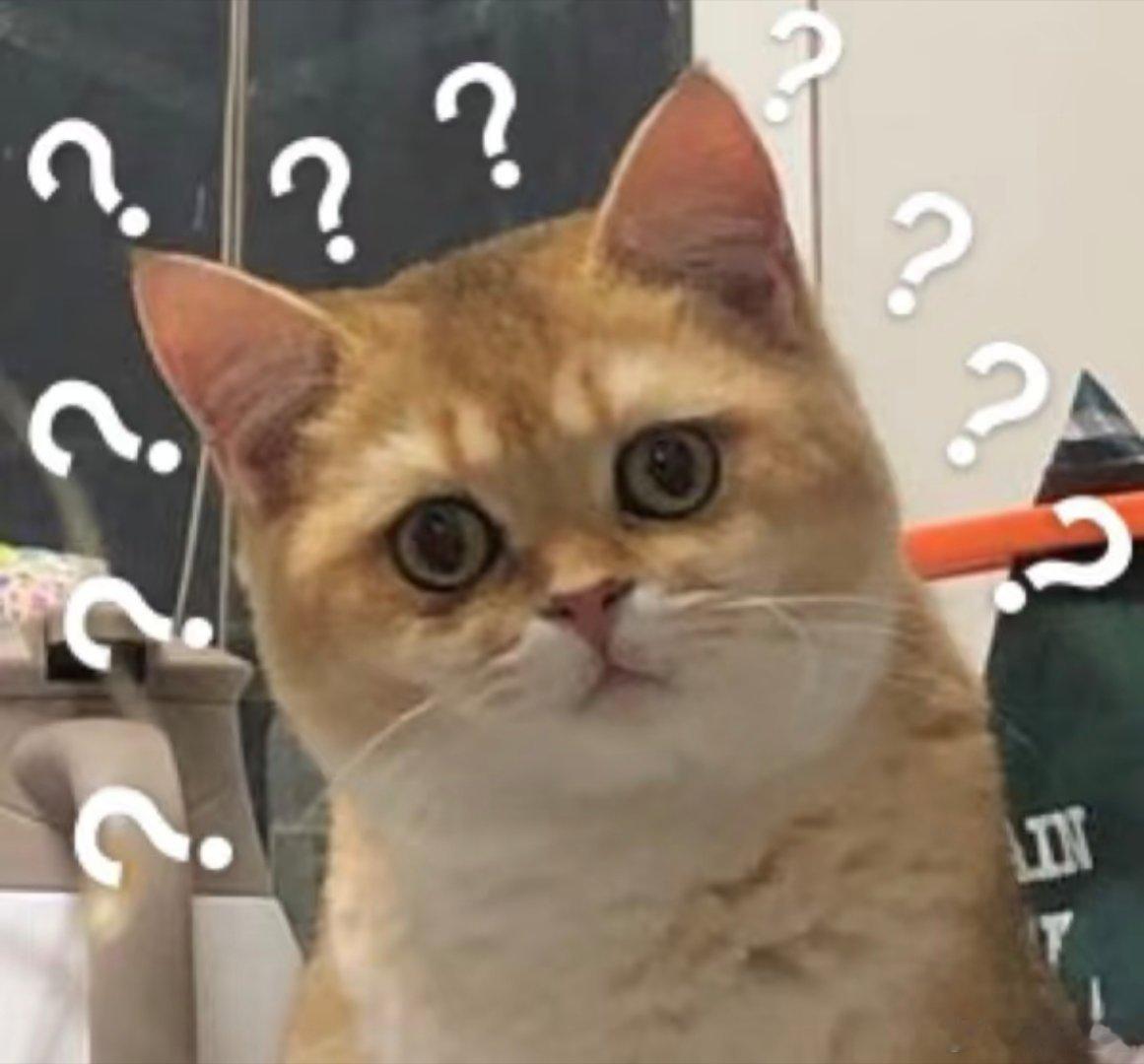 不知道又想出什么幺蛾子了！ ​​​