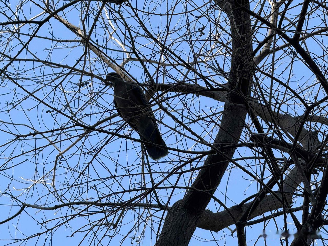 【小对联】
上：……？
下：角逐。