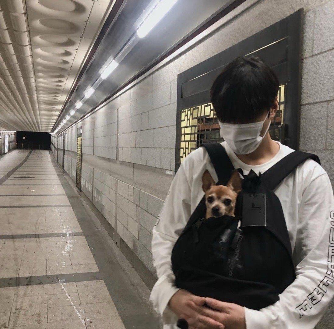 李敏镐这种看起来很有生活感的照片好像也没什么特别的，但就是很好看是滴[努力] ​