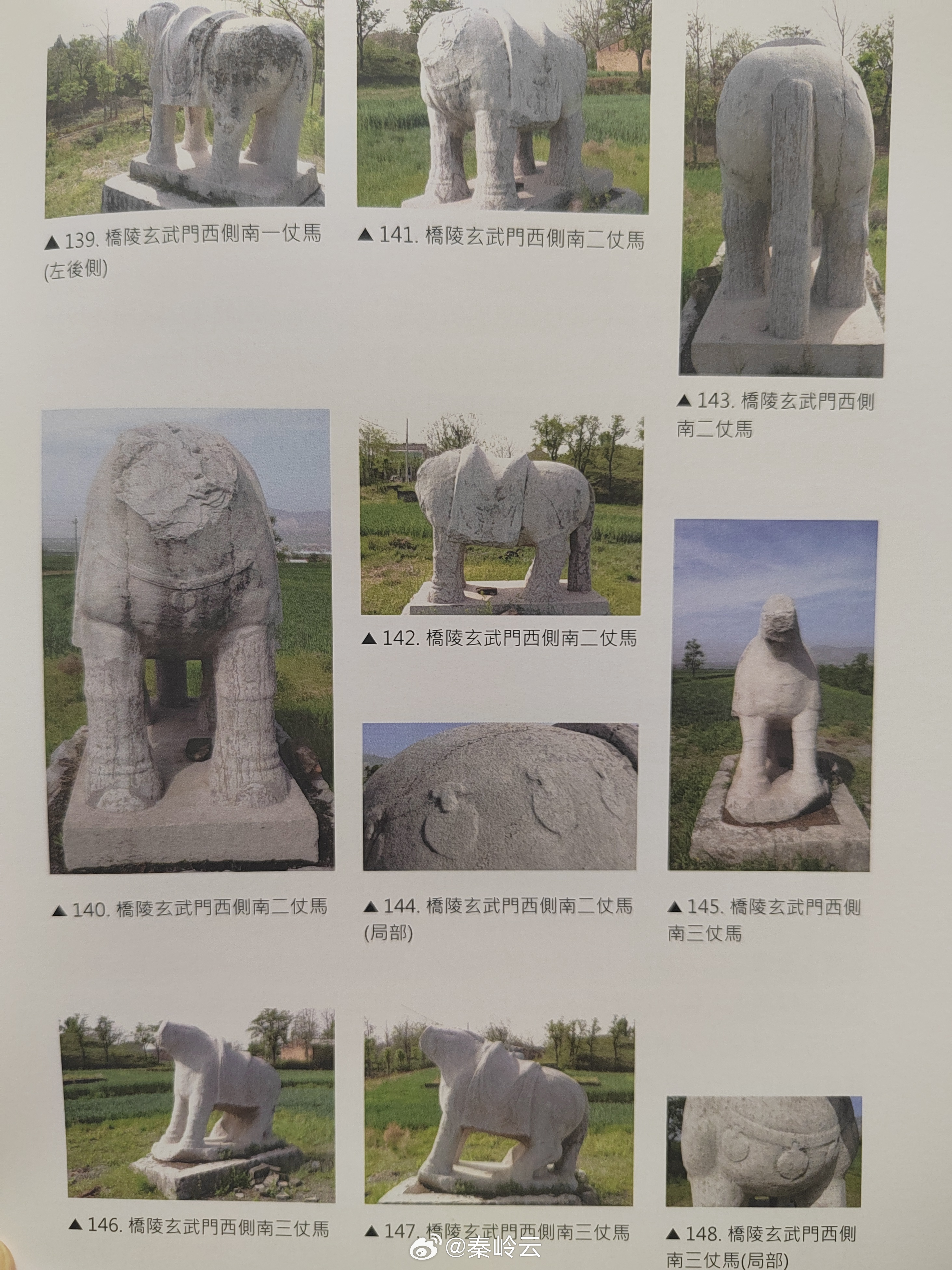 最近花478元买了一本台湾出版的唐陵石刻图册，文字不加注释，图片排版随意，毫无参
