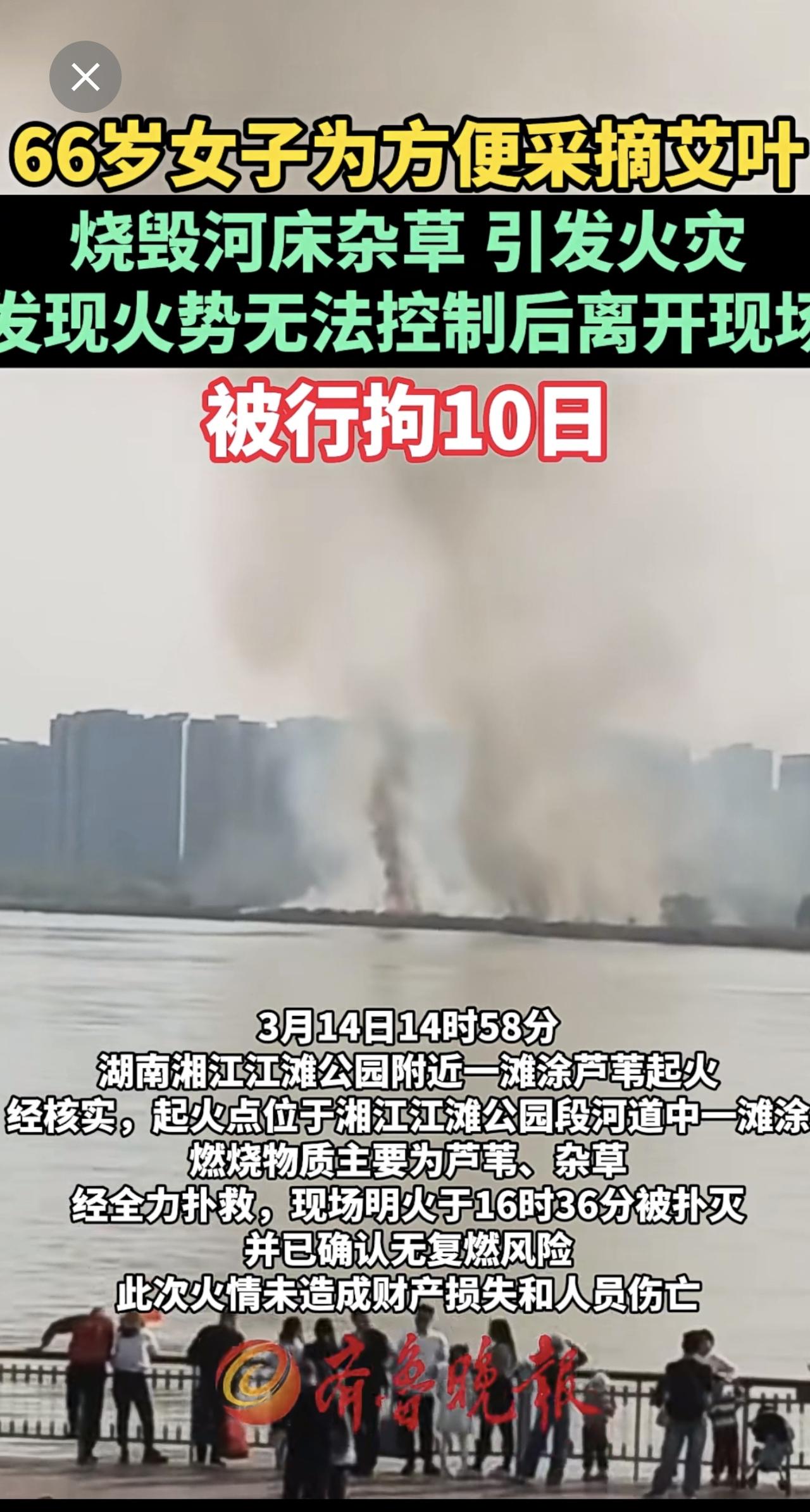 66岁女子为方便采摘艾叶，烧毁河床杂草引发火灾，被行拘10日