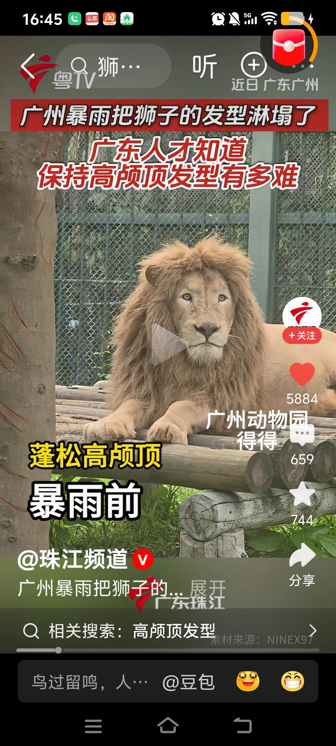 你在沉思，你狮子的一生吗？别沉思了，这辈子你都将被困在这笼子里了。