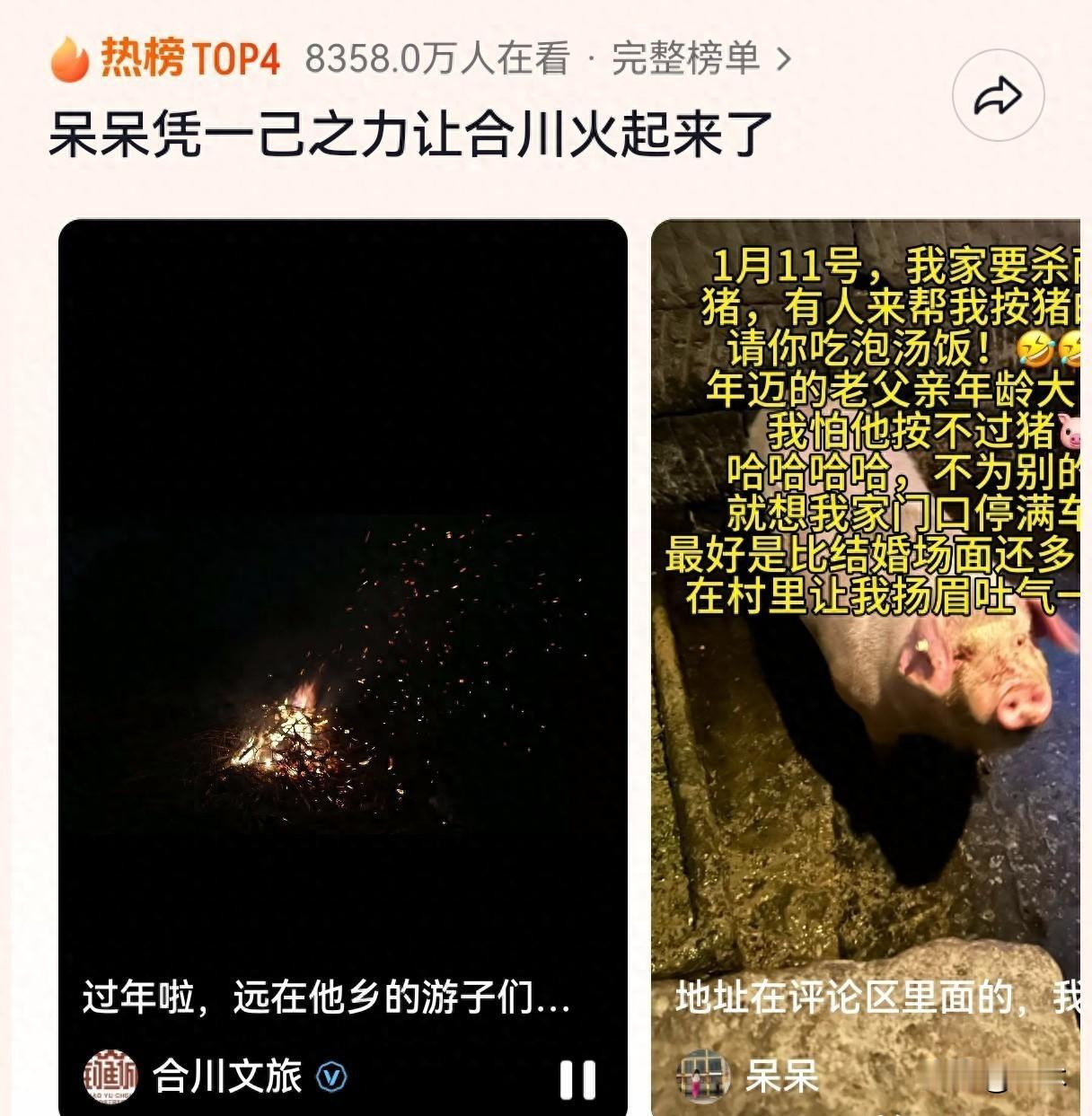 两头猪掀起的文旅热潮，流量简直爆棚
时间来到2026年1月9号，地点是重庆合川农