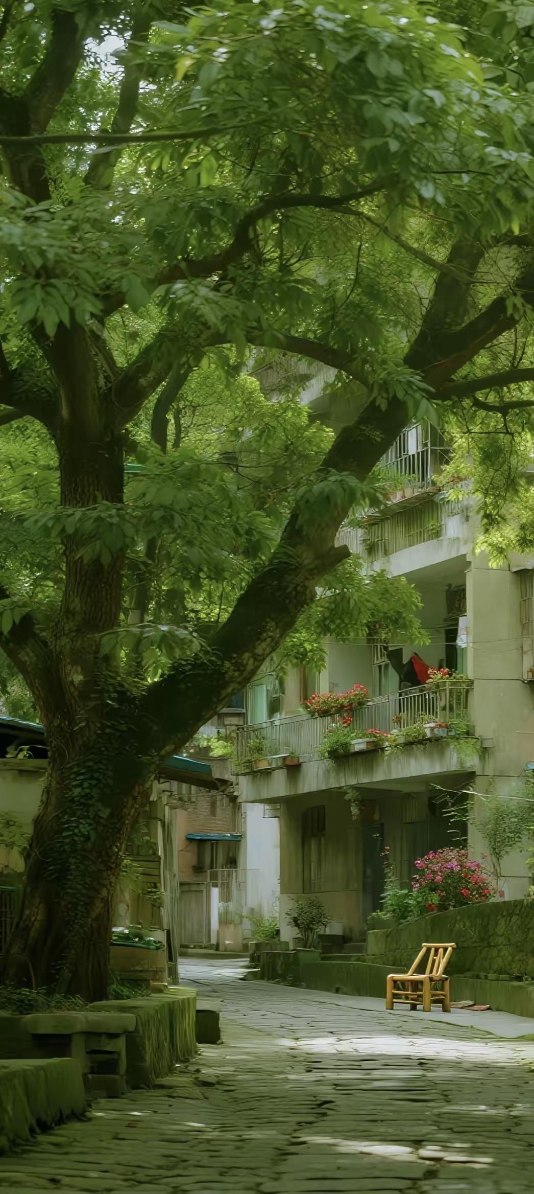 手机壁纸～把日子过成喜欢的样子：有花，有树，有烟火，有慢下来的时光。风遇山止，心